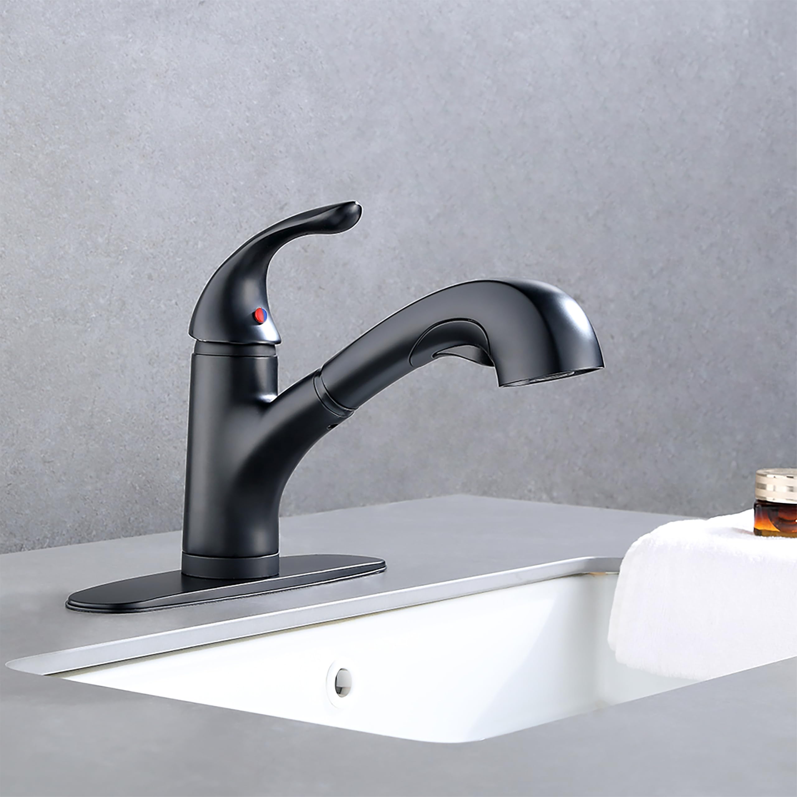 Derengge Single Handle Pull Out Kitchen Faucet,Matte Black Kitchen Sink Faucet With Deck Plate For Farmhouse, Camper, Laundry, Rv, Bar,Ew-083F-Mt