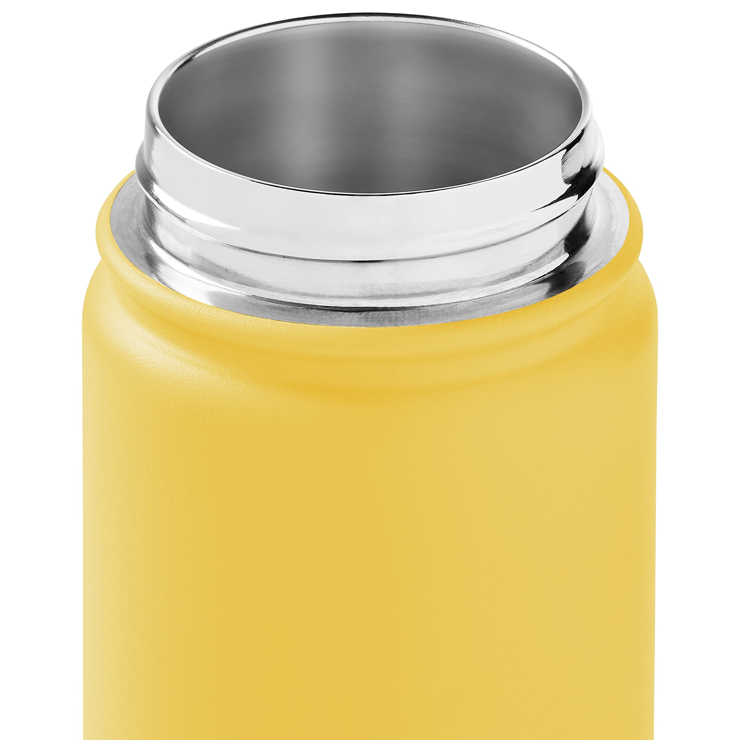 Retrospec Alder Insulated Water Bottle With Straw Lid & Handle Cap - Stainless Steel Wide