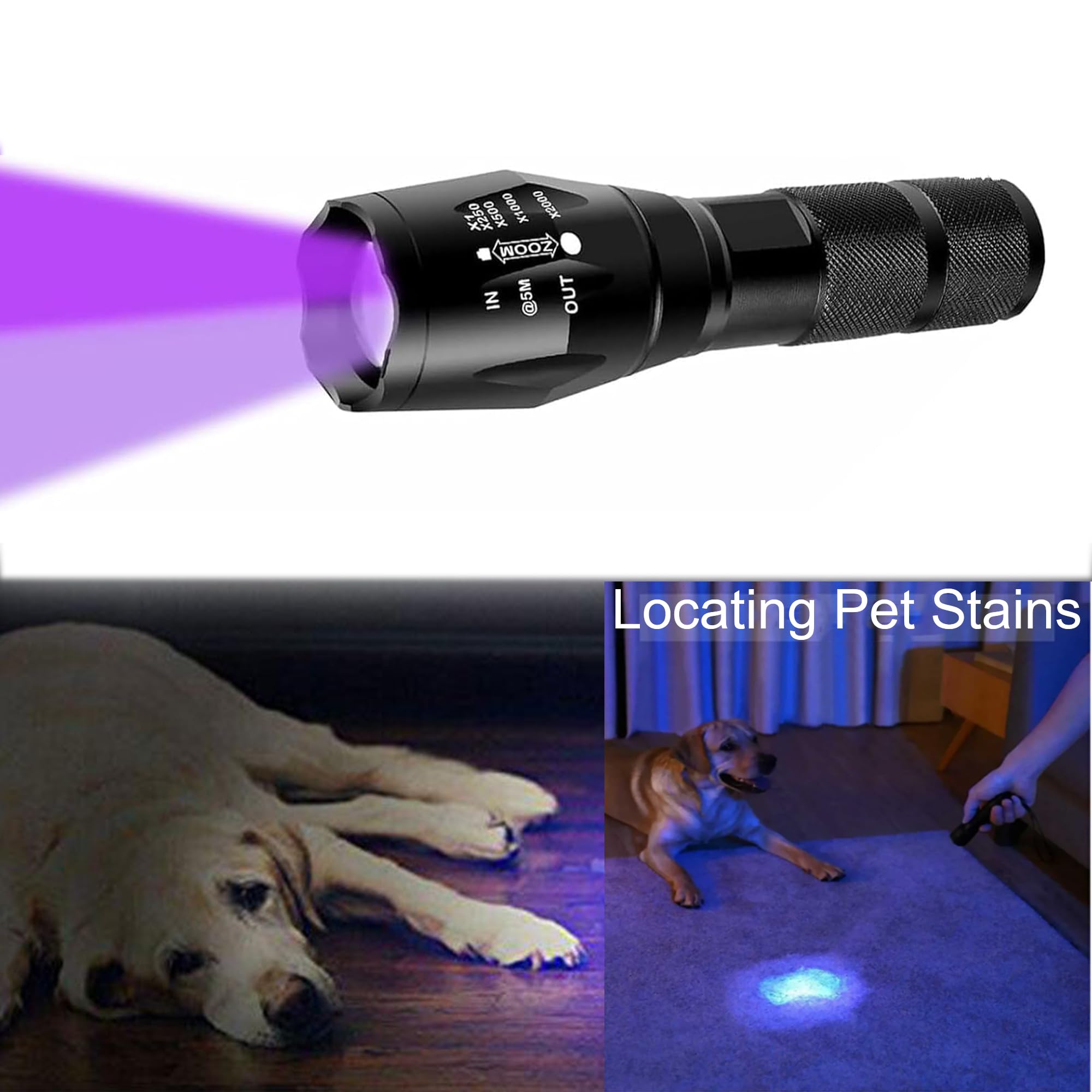 Zyunmall Uv Flashlight Black Light, 365Nm & 395Nm Wood’S Lamp 2 In 1 Ultraviolet Led Handheld Torch For Pet Urine, Fluorescent Agents, Uv Glue Curing, And Scorpion Detection