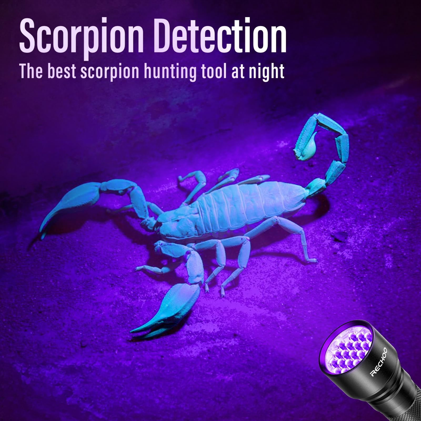 Rechoo Uv Flashlight Black Light, 21 Led 395Nm Ultraviolet Rechargeable Flashlights Uv Light, Waterproof Portable Blacklight Flashlights For Pet Urine Detection, Dry Stains, Bed Bug, Fluorescent Agent