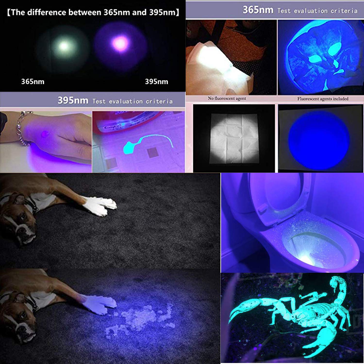 Aventik D Edison Design Power 395Nm Zoomable Pen Light (1Pc 395Nm Grey)