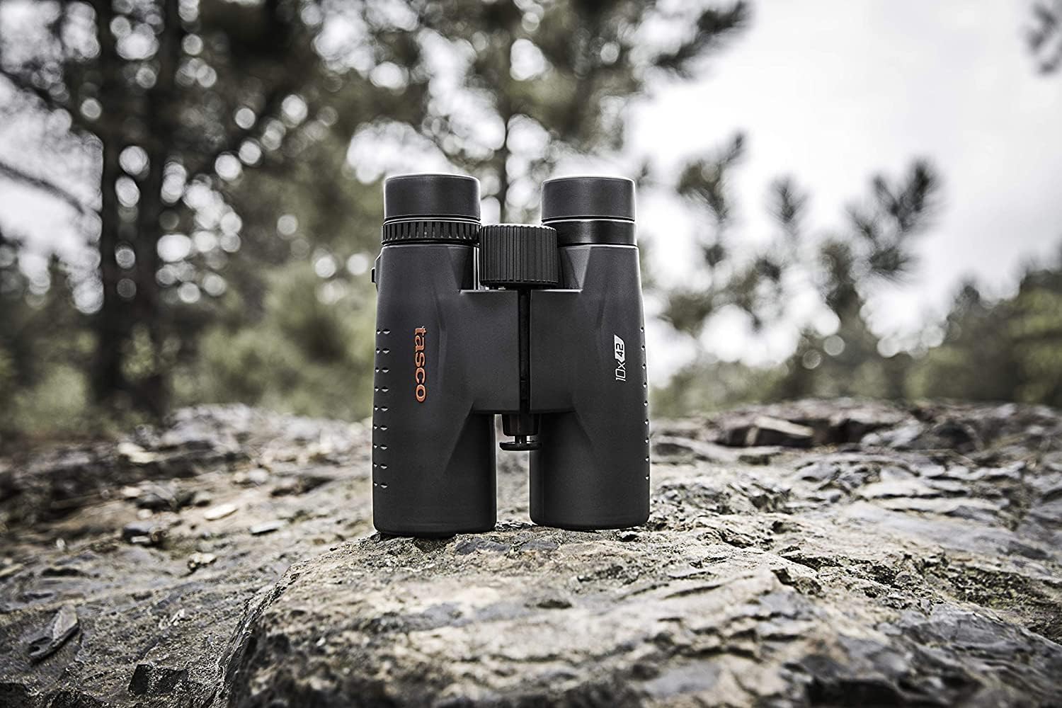 Tasco Es10X42 Essentials Binoculars, 10X42Mm, Roof Prism Mc, Black