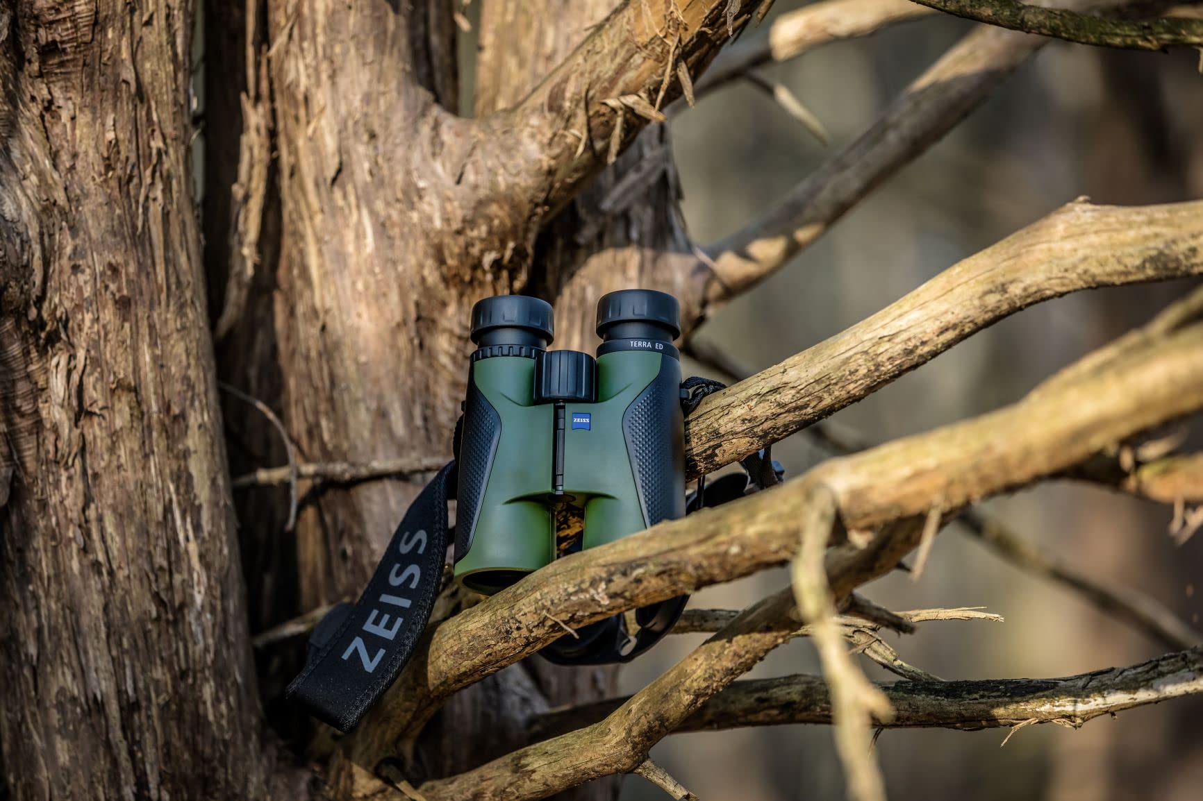 Zeiss Terra Ed Binoculars 10X42 Waterproof, And Fast Focusing With Coated Glass For Optimal Clarity In All Weather Conditions For Bird Watching, Hunting, Sightseeing, Green