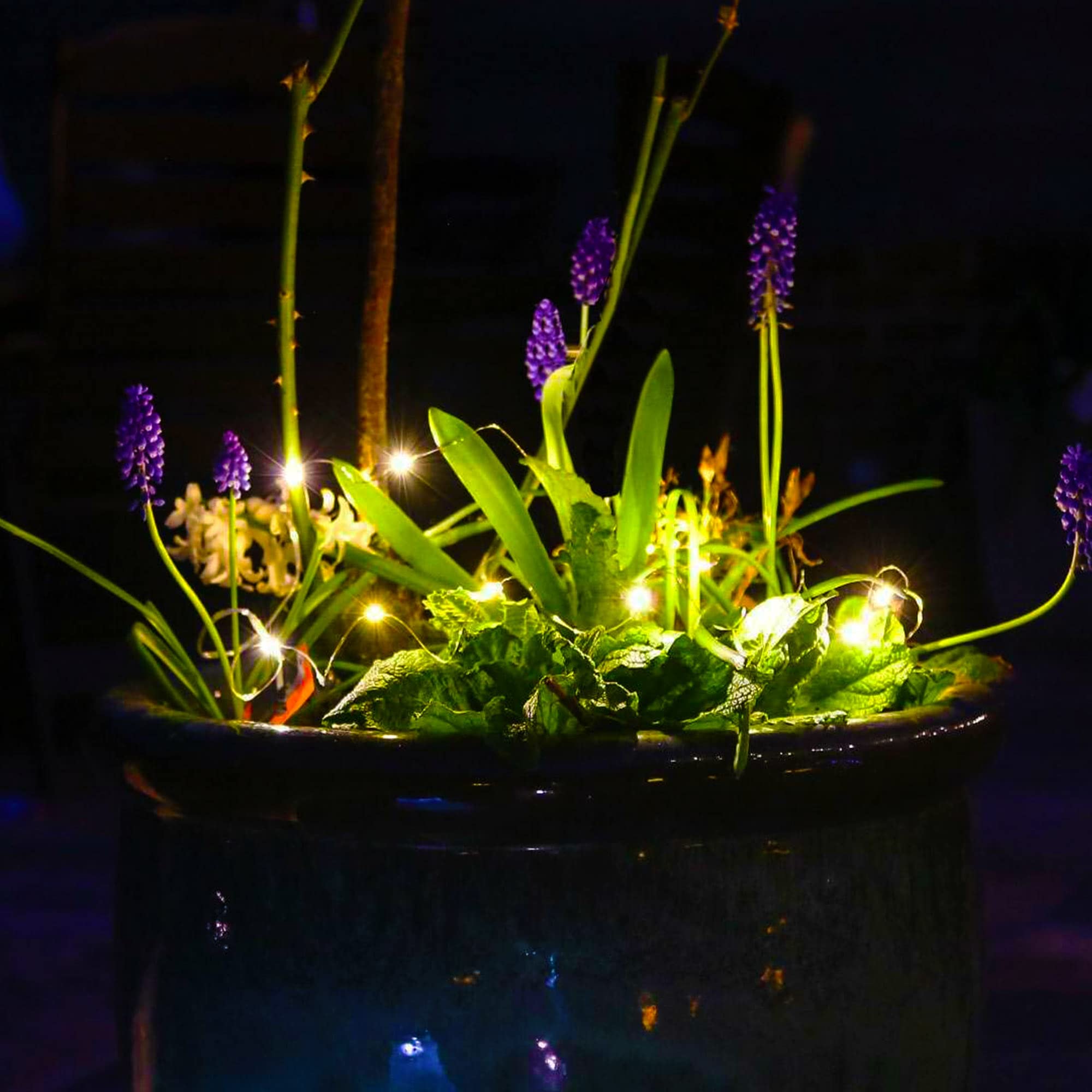 Kemooie 2 Packs Solar String Lights, Total 200 Led 66Ft 8 Twinkle Modes Warm White Solar Powered Fairy Lights, Waterproof For Outdoor, Tree, Garden, Christmas Decorations (Warm White)