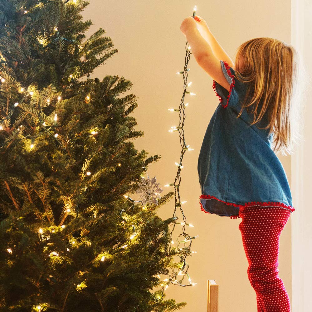 Green Convenience Christmas Lights 33Ft 100 Led Battery String Lights With Timer Memory Function Usb Or Battery Powered Waterproof String Lights For Indoor Outdoor Decoration (Warm White)