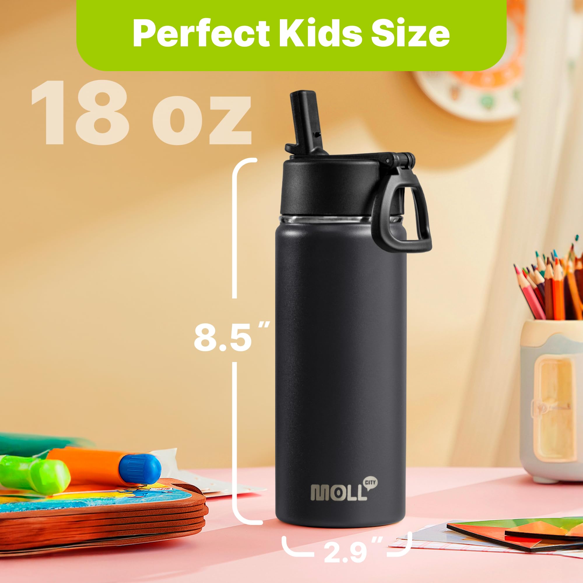 Insulated Water Bottle With Straw-18 Oz Stainless Steel Double Wall Vacuum Wide Mouth Water Bottle