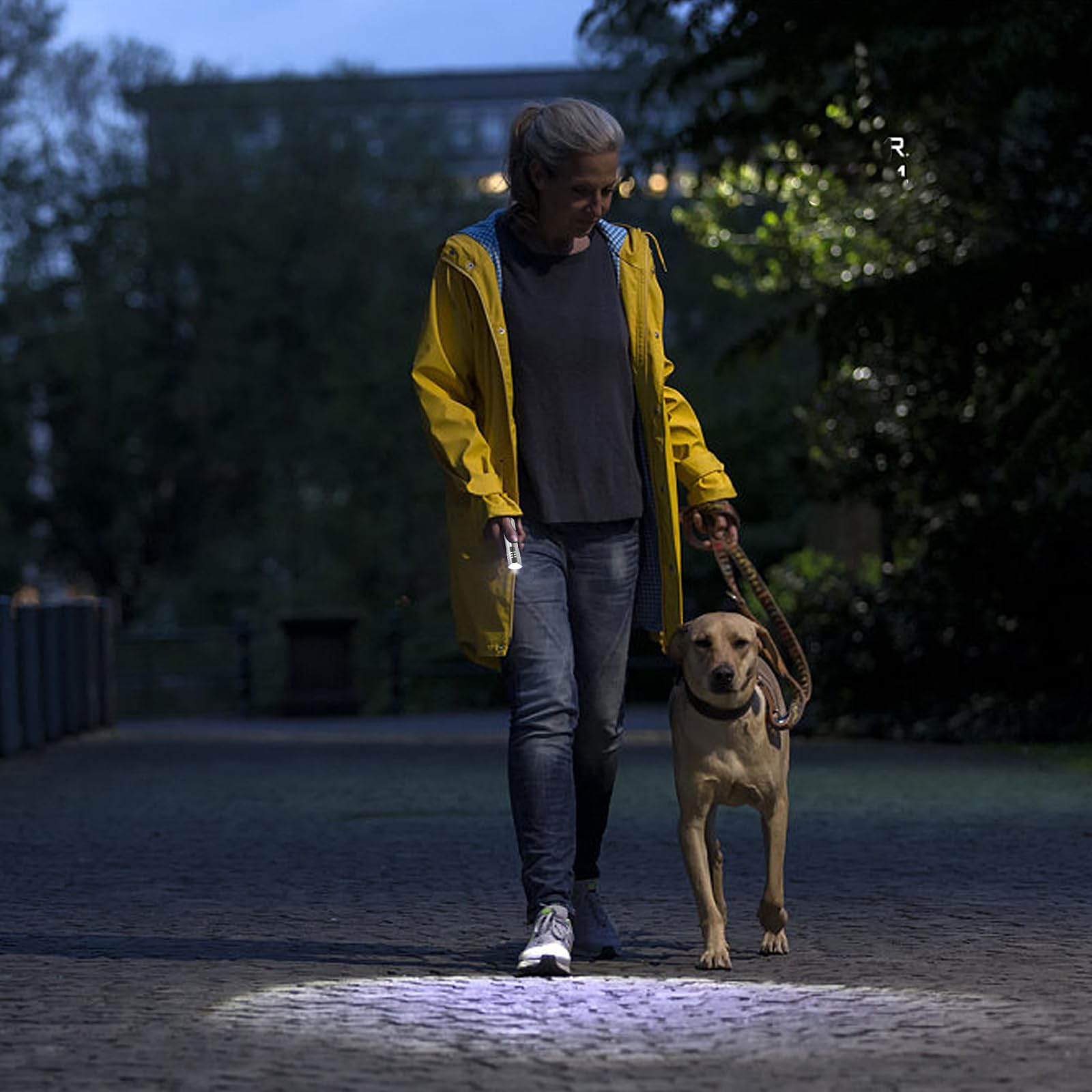 Hilngav 6 Pack Led Aluminum Small Mini Usb C Rechargeable Flashlights, Handheld Small Flashlight Bulk, Portable Camping Bright High Lumens Flashlight Christmas  (6)