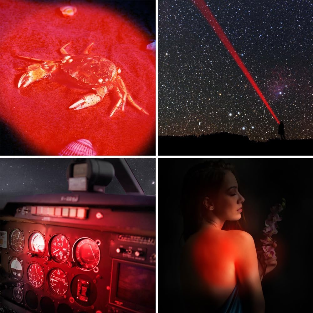Wayllshine 4 Pack Single Mode Red Light Flashlight, Red Led Flashlight Torch For Astronomy, Aviation, Night Observation