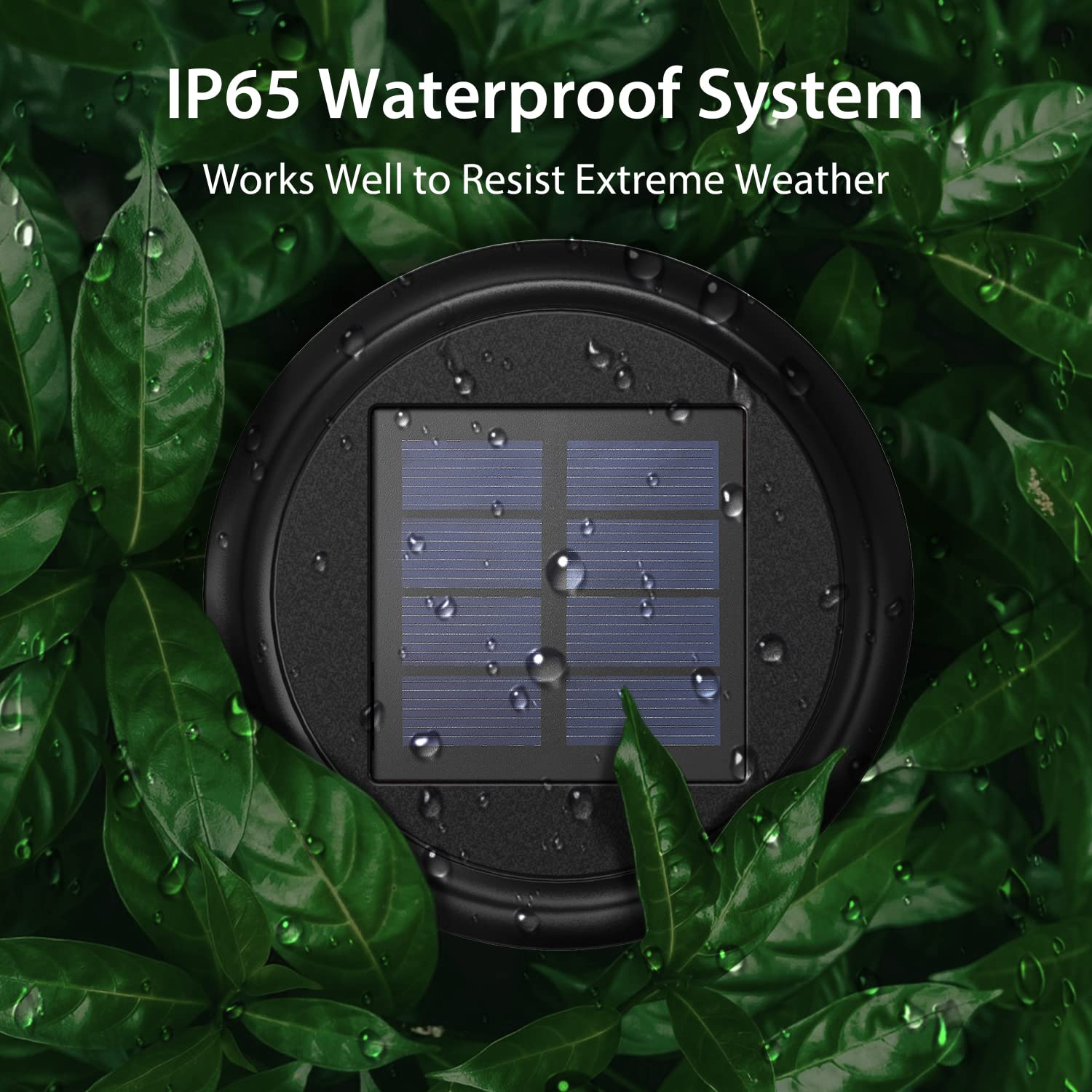 Xmcosy+ Solar Pathway Lights Outdoor, High Lumens Led Garden Lights With 2 Lighting Modes, Solar Powered Light, Ip65 Waterproof Auto On/Off For Yard Walkway Driveway Decor (Warm & Cool White)