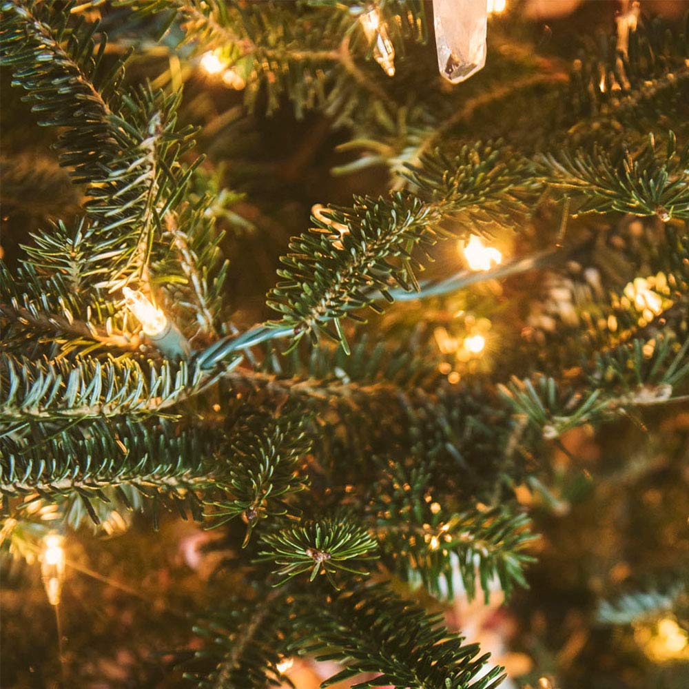 Green Convenience Christmas Lights 33Ft 100 Led Battery String Lights With Timer Memory Function Usb Or Battery Powered Waterproof String Lights For Indoor Outdoor Decoration (Warm White)