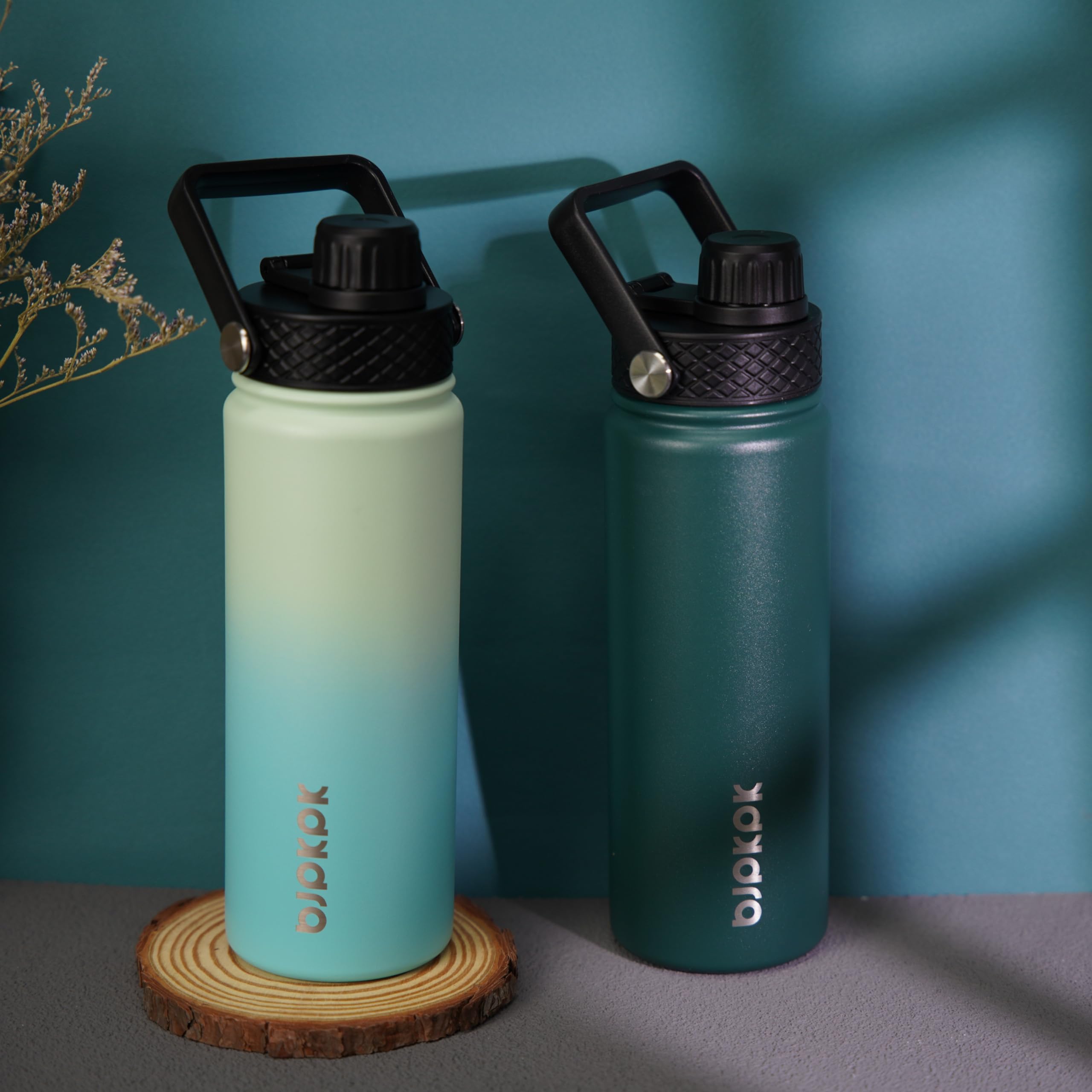 Bjpkpk 2 Pack Insulated Water Bottles With Straw Lids, 18Oz Stainless Steel Metal Water Bottle