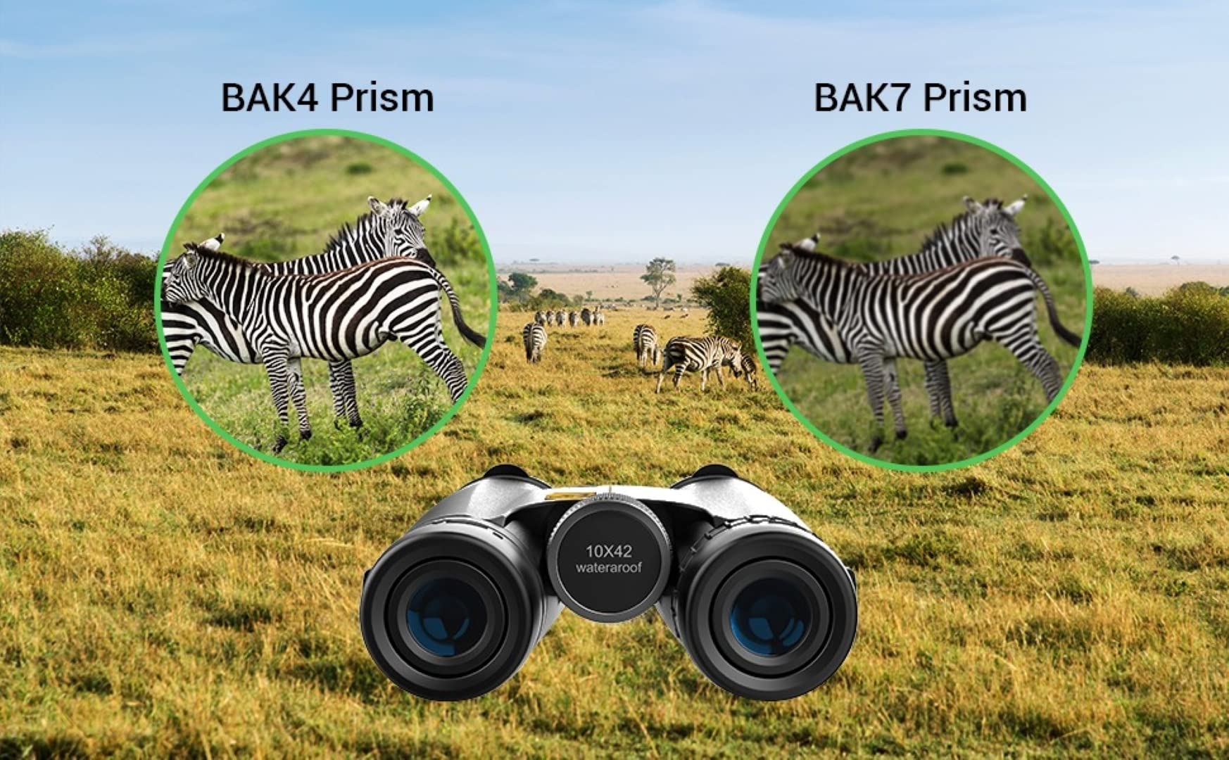 Birds Of Prey Optics 10X42 Binoculars For Adults High Powered - Hd Binoculars For Bird Watching, Binoculars For Hunting W. Carrying Bag - Travel Essentials, Cruise Ship Essentials And Camping Gear