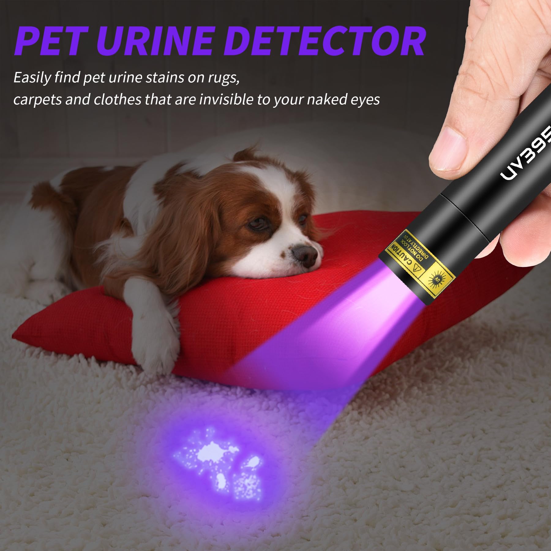 Pzzoe Uv Flashlight Black Lights Wood’S Lamp Powerful Mini Portable, Led 395Nm Usb Rechargeable Ultraviolet Blacklight Flashlights, Pet Urine Detector Light For Uv Resin Curing