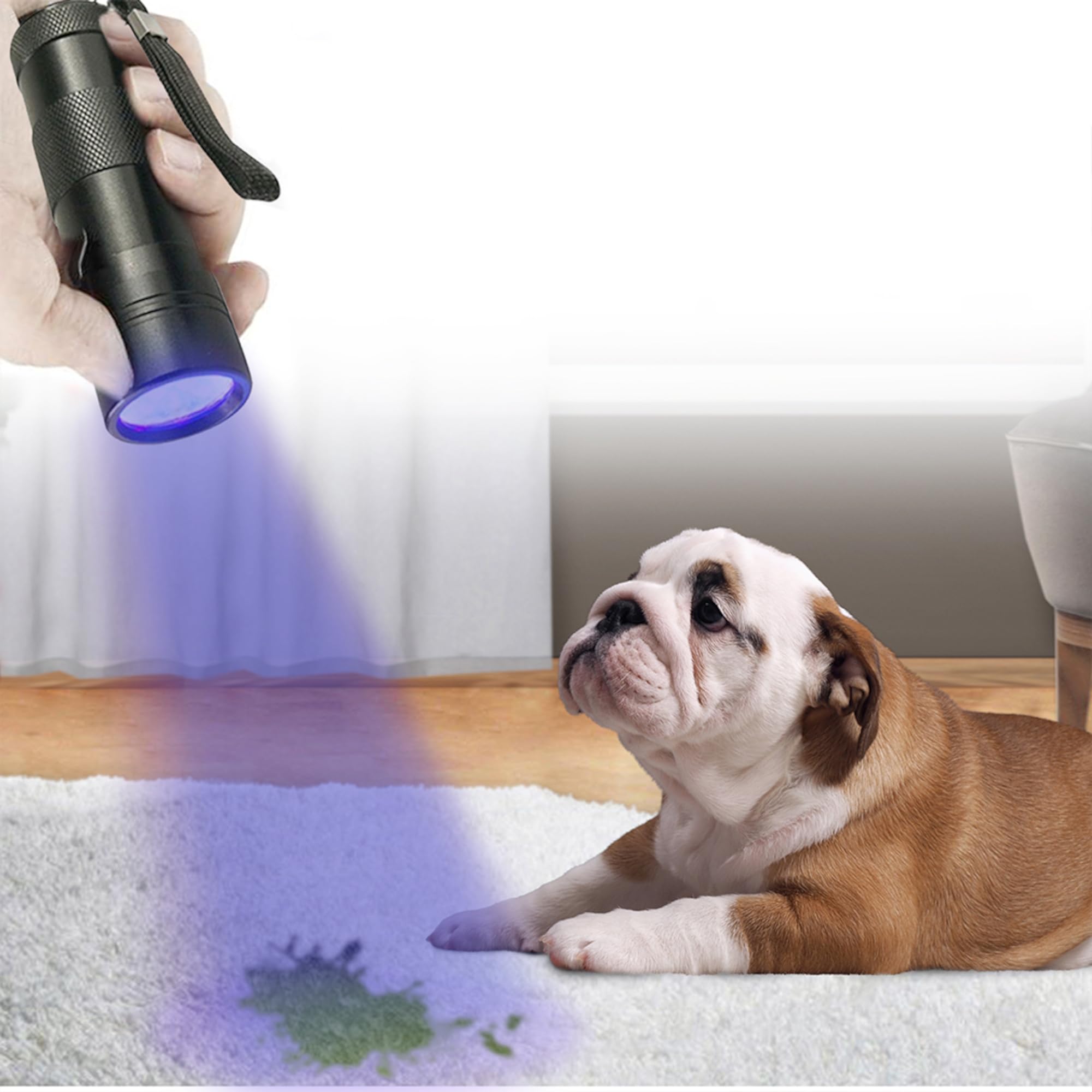 Jor Uv Flashlight With Aaa Batteries, Pet Pee & Stain Detector, Black Ultra Violet Mini Handheld Light, Spots Invisible Stains, Aluminum Alloy, Multifunctional