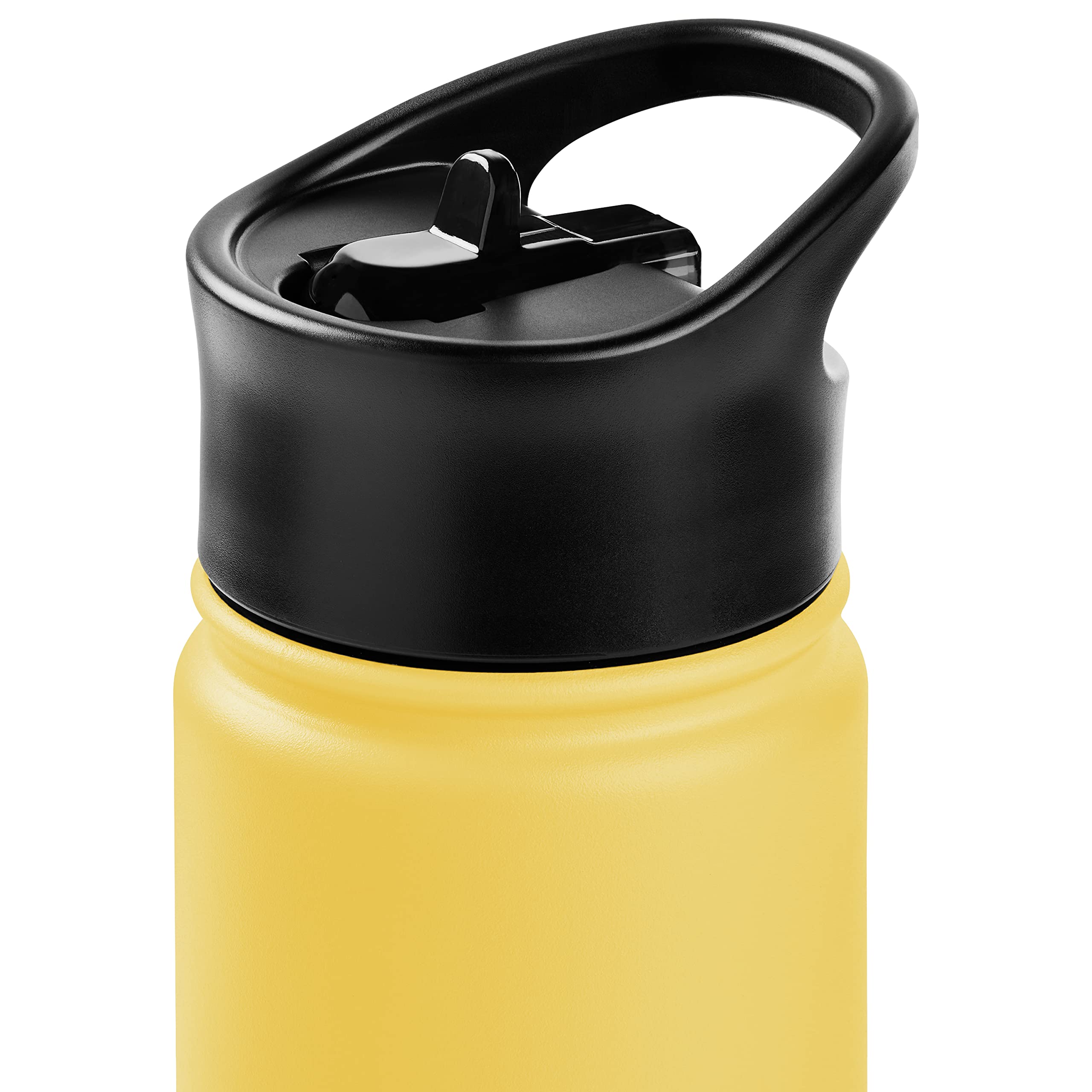 Retrospec Alder Insulated Water Bottle With Straw Lid & Handle Cap - Stainless Steel Wide