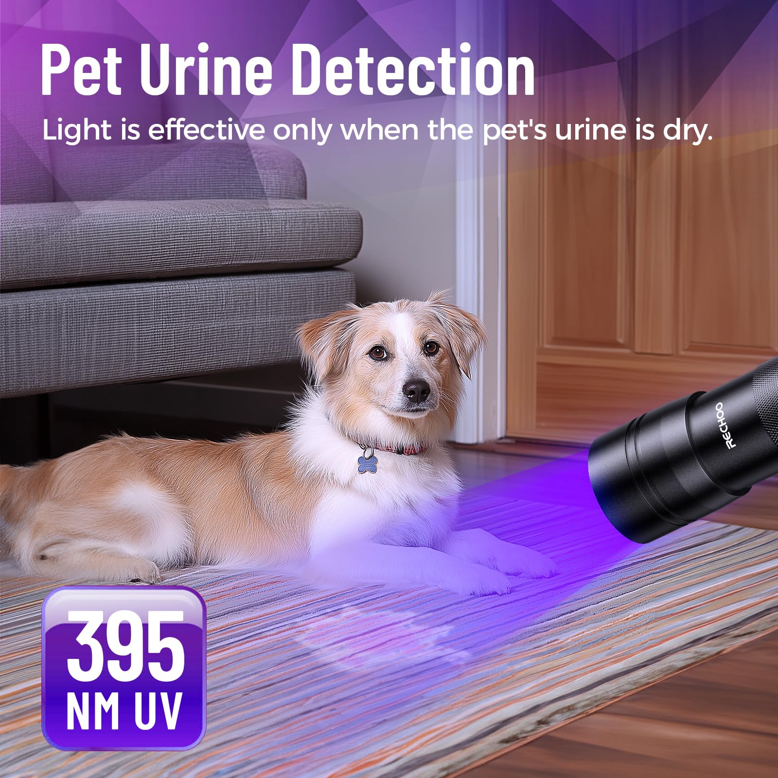 Rechoo Black Light Uv Flashlight 2 Pack, 12 Led 395Nm Uv Flashlight, Portable Mini Uv Light Waterproof, Blacklight For Pet Urine Detection, Dry Stains, Bed Bug, Fluorescent Agent (Batteries Not Included)