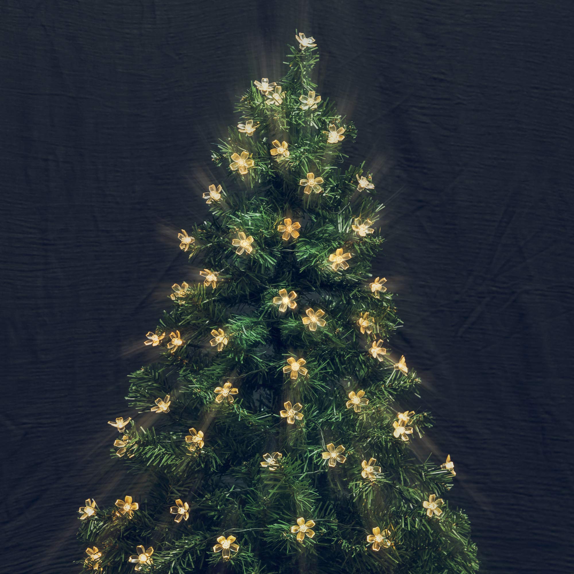 Shinymolly 2 Pack Solar String Lights Outdoor Decoracion, 50 Led 21.3Ft Warm White Waterproof Fairy Flower String Christmas Lights For Tree, Patio, Indoor Garden, Room, Holiday(50L-Warm White)