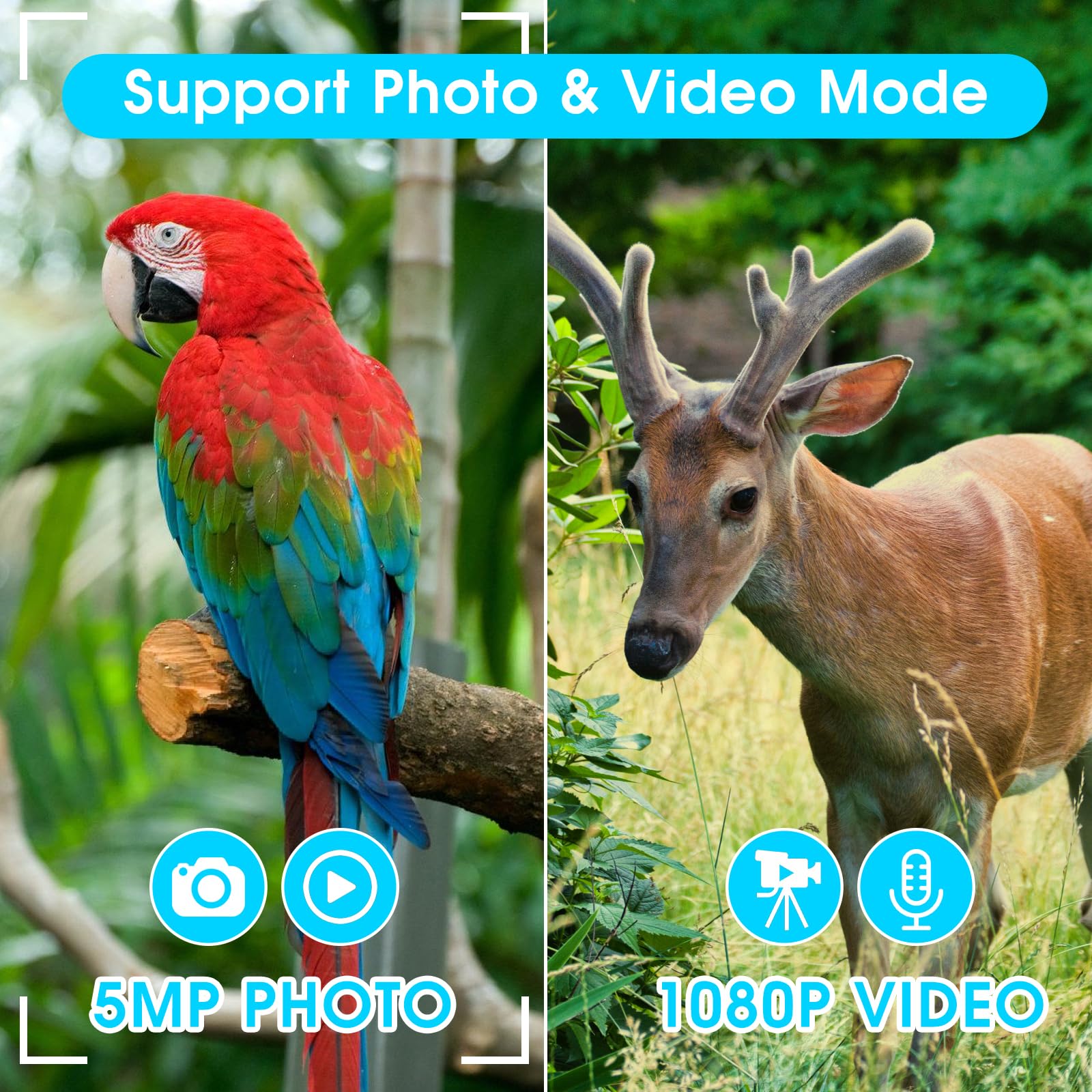 Zzstar 12X32 Binoculars With Camera, Binoculars For Adults, 2" Ltps Display 5Mp 1080P Video Photo Recorder For Bird Watching Travel Hunting, With 32Gb Micro Sd Card, Silvery