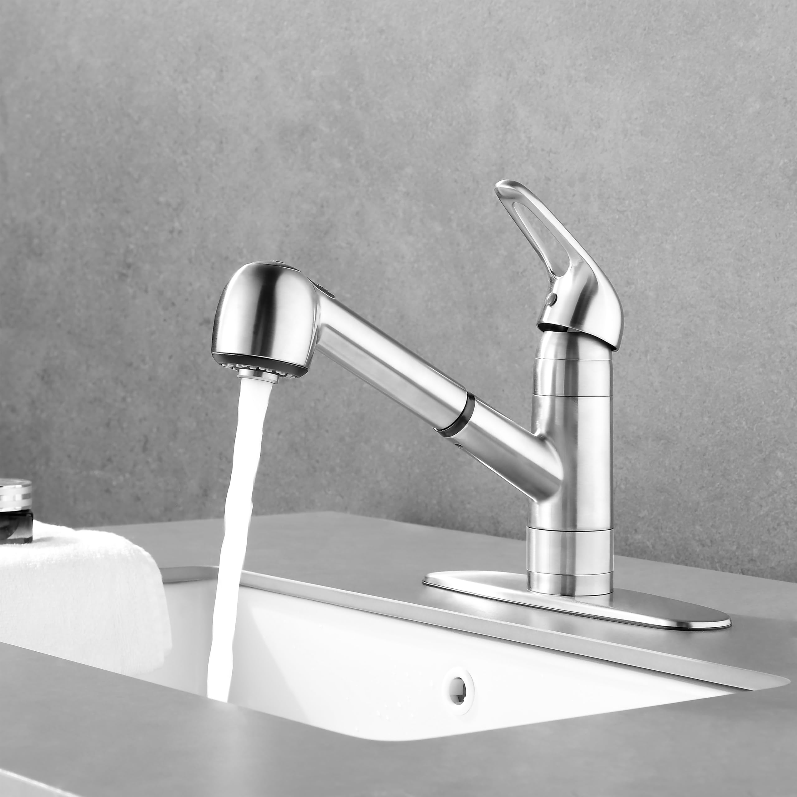 Derengge Stainless Steel 8 Inch Kitchen Sink Faucet,Single Handle Pull Out Kitchen Faucet With Deck Plate,1 Hole Or 3 Hole Installation,Kf-8125-Ss