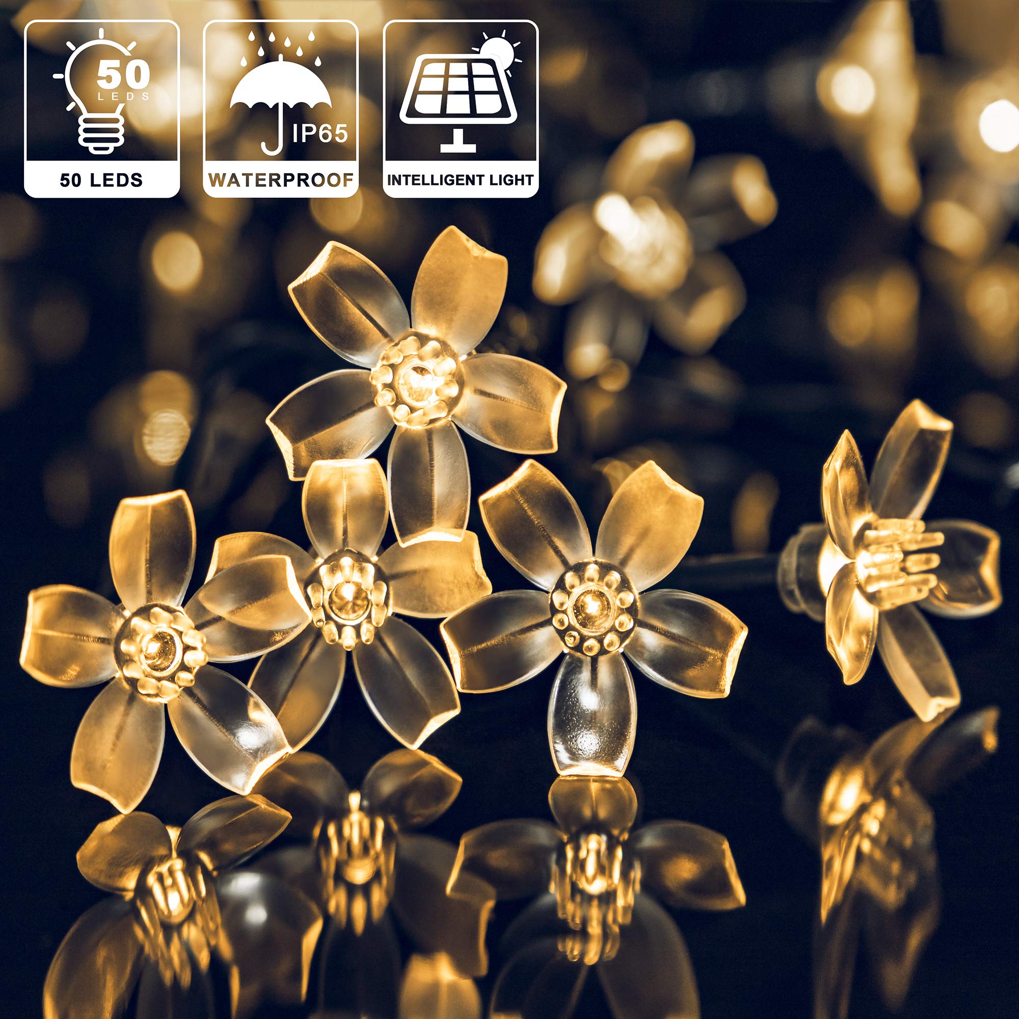 Shinymolly 2 Pack Solar String Lights Outdoor Decoracion, 50 Led 21.3Ft Warm White Waterproof Fairy Flower String Christmas Lights For Tree, Patio, Indoor Garden, Room, Holiday(50L-Warm White)