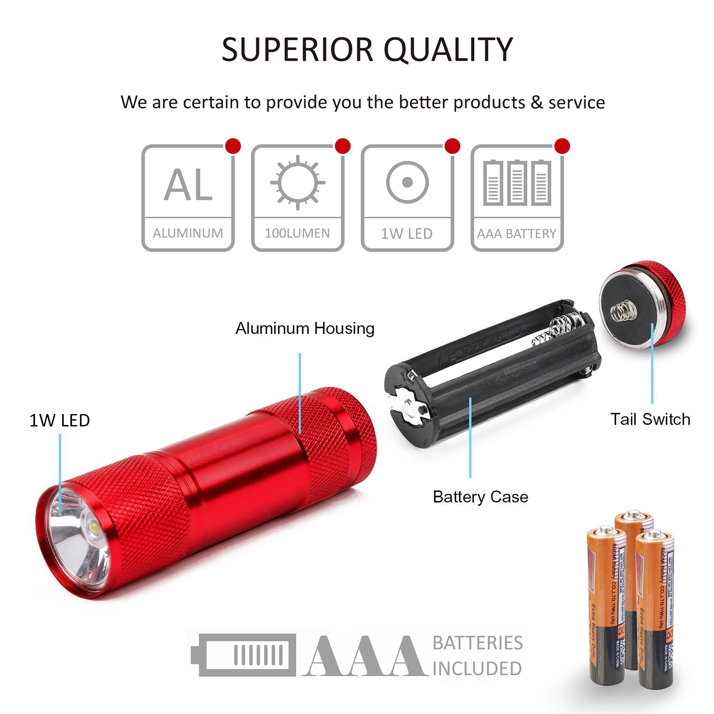 Fastpro 20-Pack 100 Lumen Super Bright Aluminum Led Flashlights Set, With Aaa Dry Batteries Included And Pre-Installed