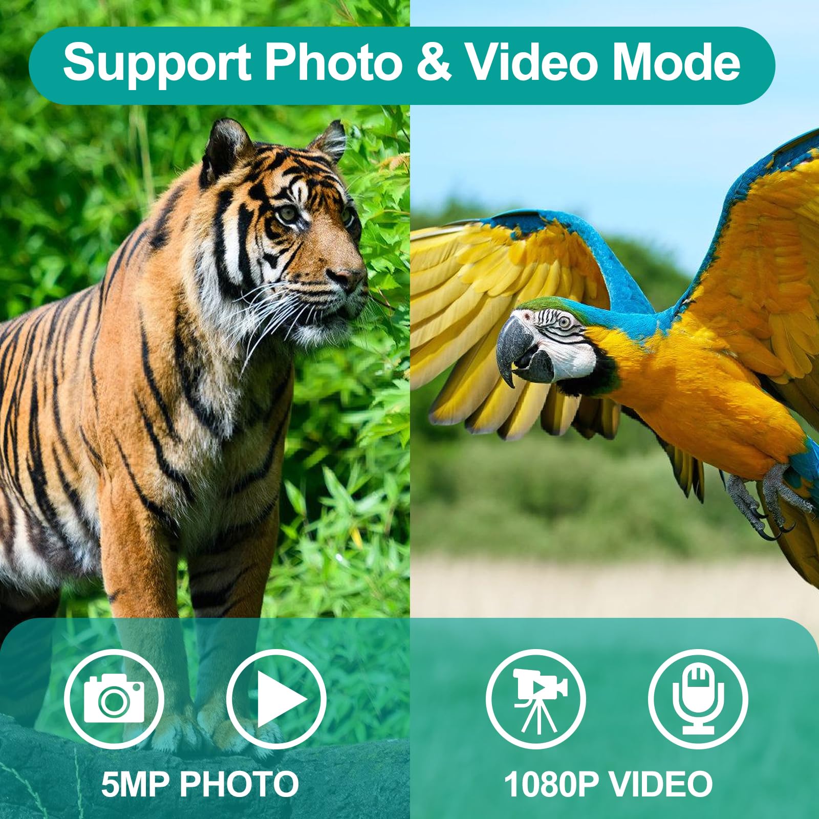 Zzstar 12X32 Binoculars With Camera, Large View Binoculars For Adults High Powered, Fmc & Bak4 Prism Lens, 2" Lcd Display 5Mp 1080P Video Photo Recorder, For Bird Watching Hunting Black