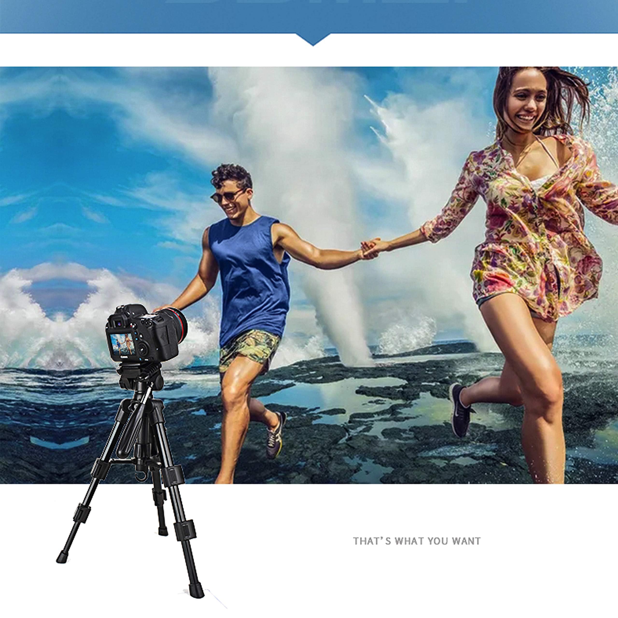 Baipak Mini Tripod For Camera,Zomei Travel Table Tripod With 3-Way Pan/Tilt Head 1/4 Inches Quick Release Plate And Bag For Dslr Camera Tripod Carrying Bag