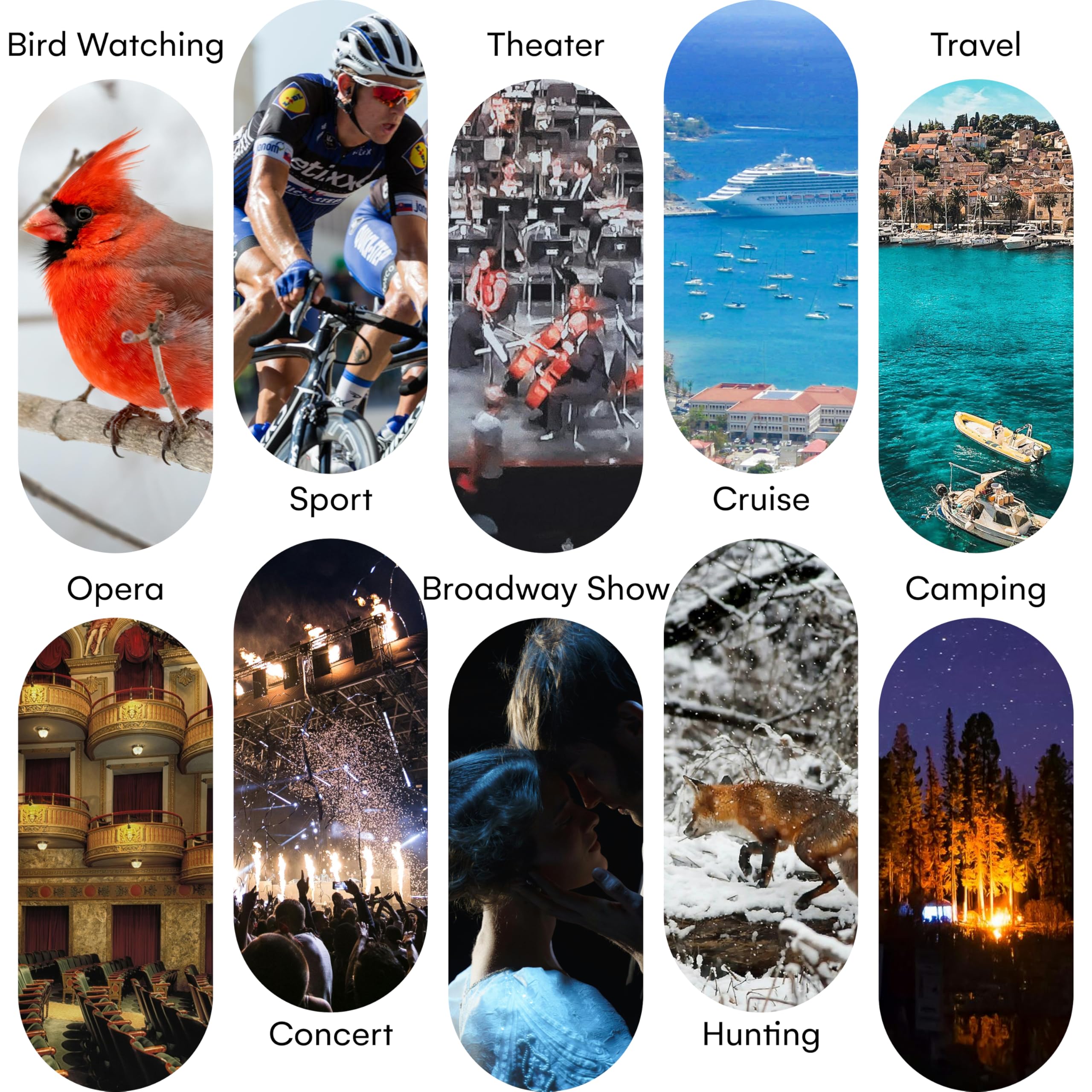 Beast Cooler Accessories Grippi Compact Binoculars Black - Safari Binoculars For Adults, High Powered Easy Focus Binocular For Bird Watching,Outdoor Hunting,Travel,Sightseeing