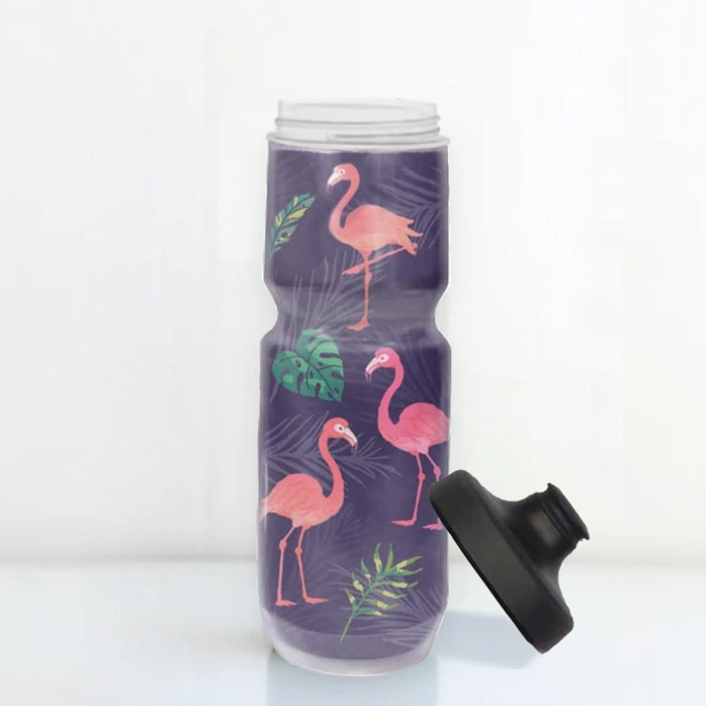 Purist 23 Oz Insulated- Sports Water Bottle - Limited Edition, Watergate Cap