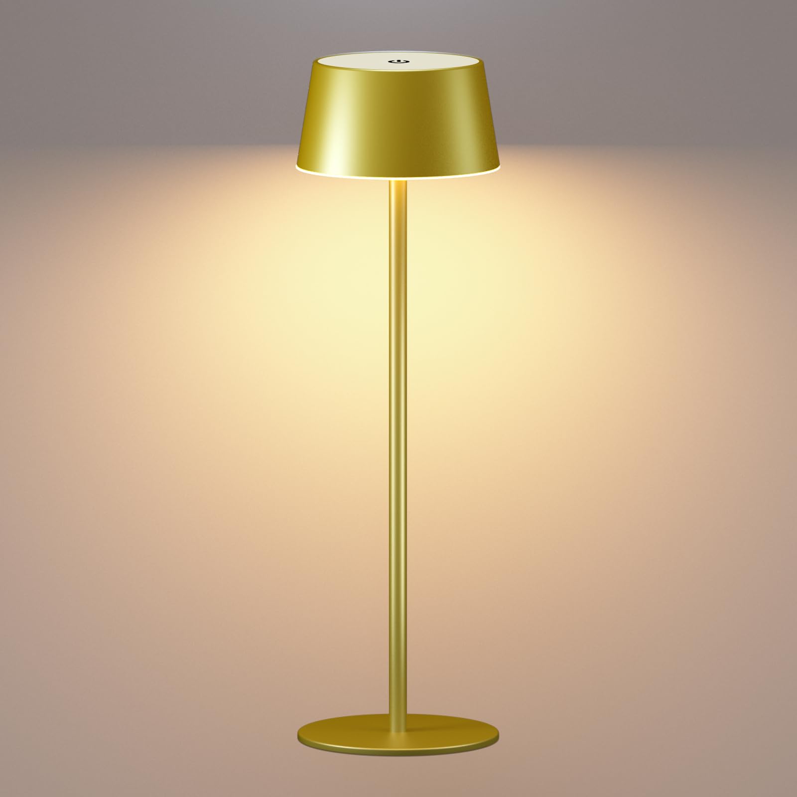 Fizrice Cordless Table Lamp Rechargeable, 5000Mah Battery Operated Touch Lamp, Portable Led Desk Lamp, 3 Color Stepless Dimmable Wireless Lamp For Bedroom Couple Dinner Side Table Patio Restaurant
