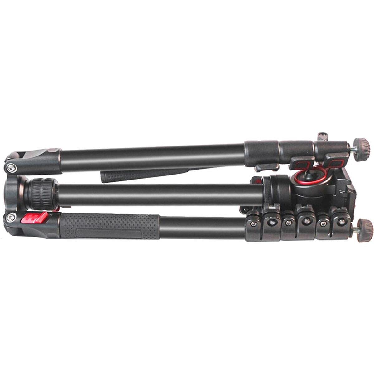 Cametv Came-Tv Tp-801A 4-Section Aluminum Video Tripod With Fluid Head Max