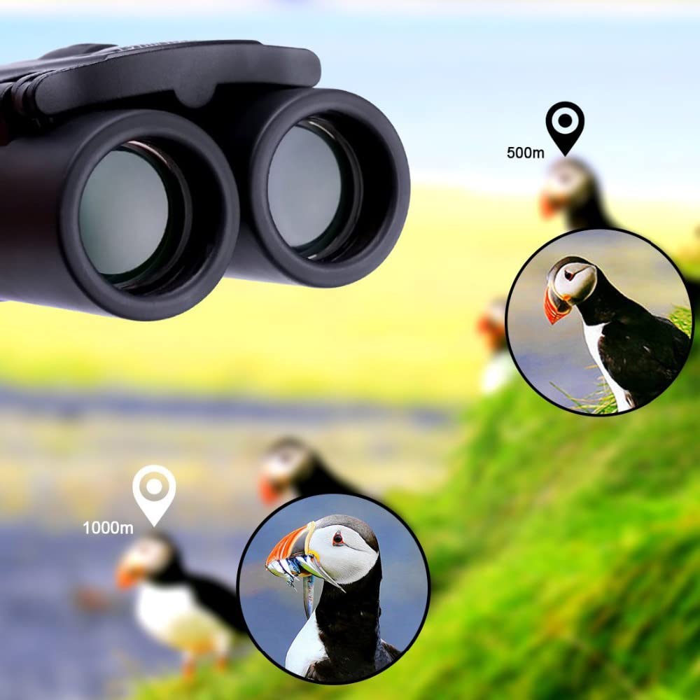 Odluhao Hd Powerful Binoculars 5000M Long Range Folding Mini Telescope Professional Hunting Zoom Military Bak4 Fmc Optics For Sports Outdoor Camping Travel  (500X25)