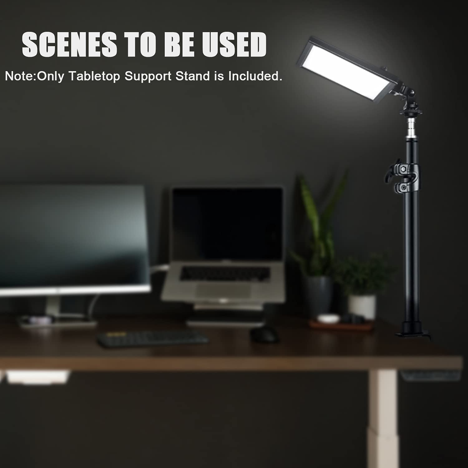 Fotoconic Camera Desk Mount Stand With 1/4" Screw And 360° Rotatable Ball Head Adjustable 14-23Inches / 35-59Cm Aluminum Light Stand For Dslr Camera, Ring Light, Led Light, Live Streaming, Make Up