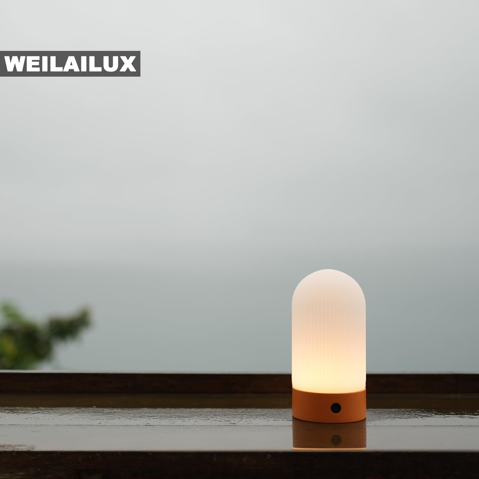 Weilailux Battery Operated Shower Lamp Waterproof, Small Portable Cordless Table Lamp Rechargeable, Touch Dimmable Mood Light For Home/Patio/Dining/Outdoor (White)