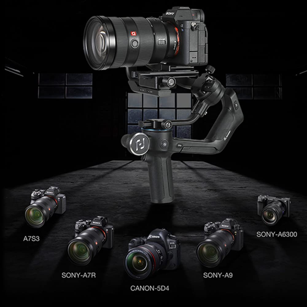 Feiyutech Scorp Handheld Gimbal Camera Stabilizer For Dslr/Mirrorless Camera For Sony,Canon,P-Anasonic,Nikon With Oled Screen And Underslung Rear Grip,5.5Lbs Payload
