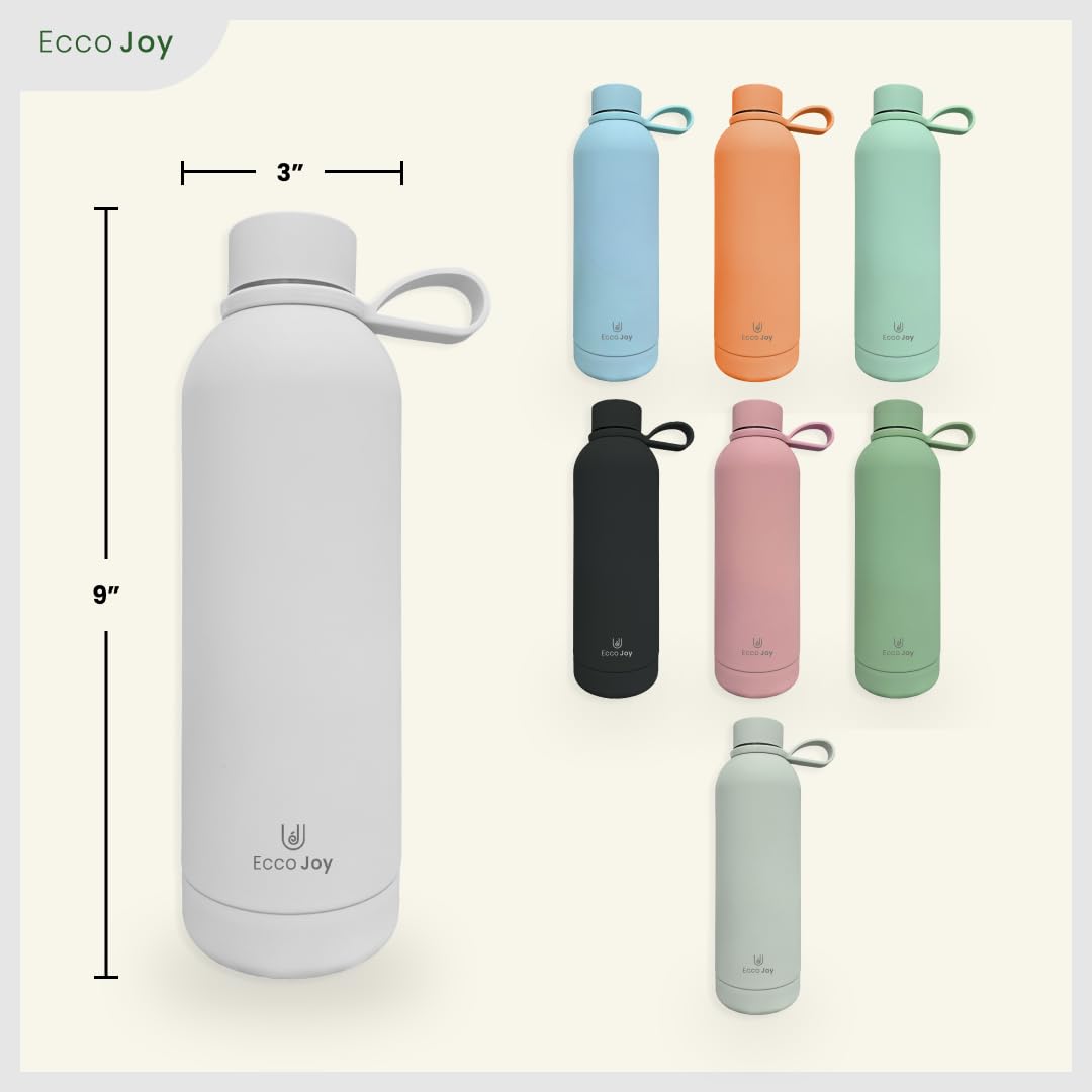 Ecco Joy Reusable Stainless Steel Water Bottles - Insulated Water Bottle - Thermos Soft Touch