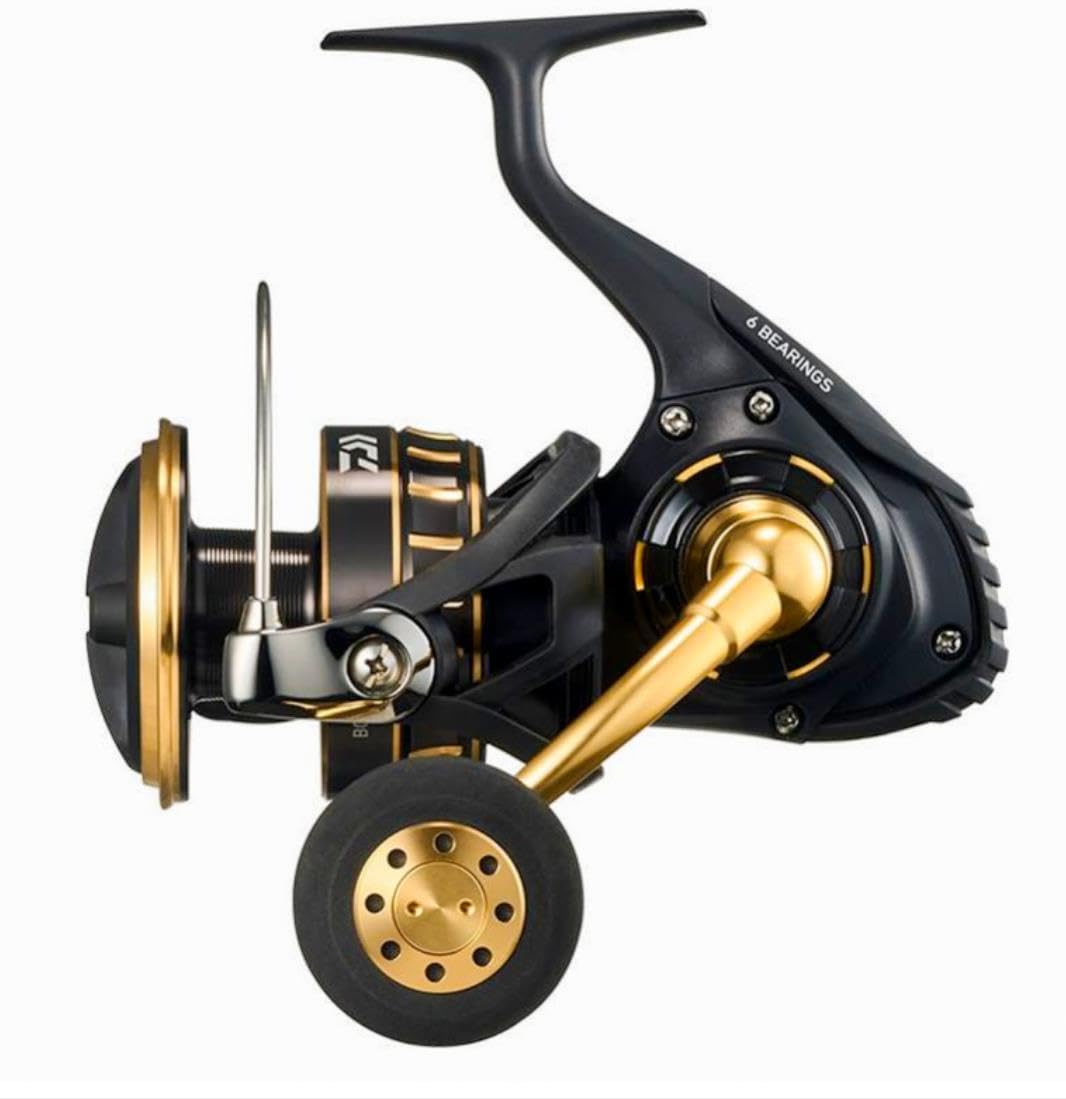 Daiwa Spinning Reel 23Bg Sw 4000-18000 Various ( Model)