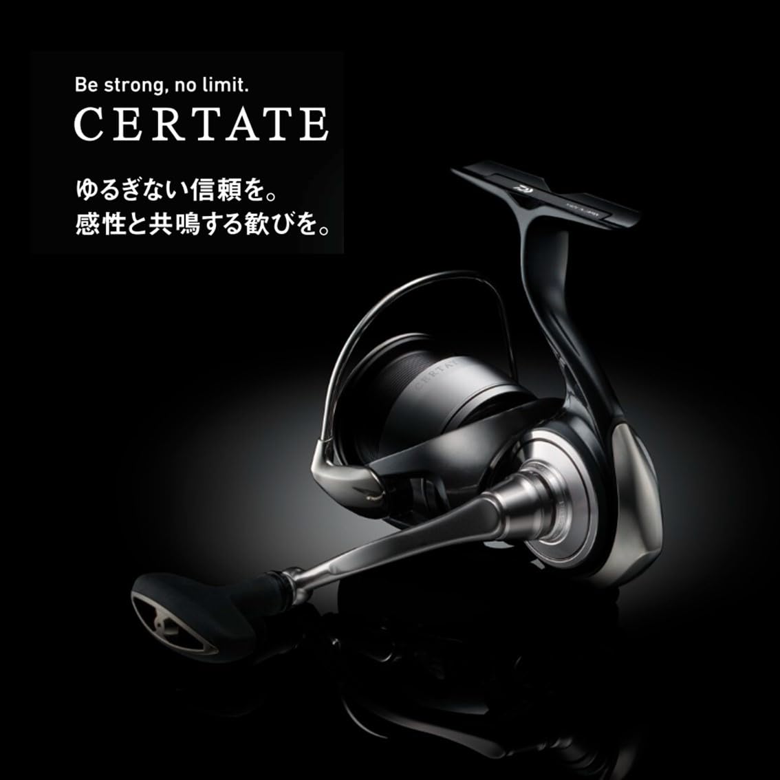 Daiwa 24 Celtate Spinning Reel, Various ( Model)
