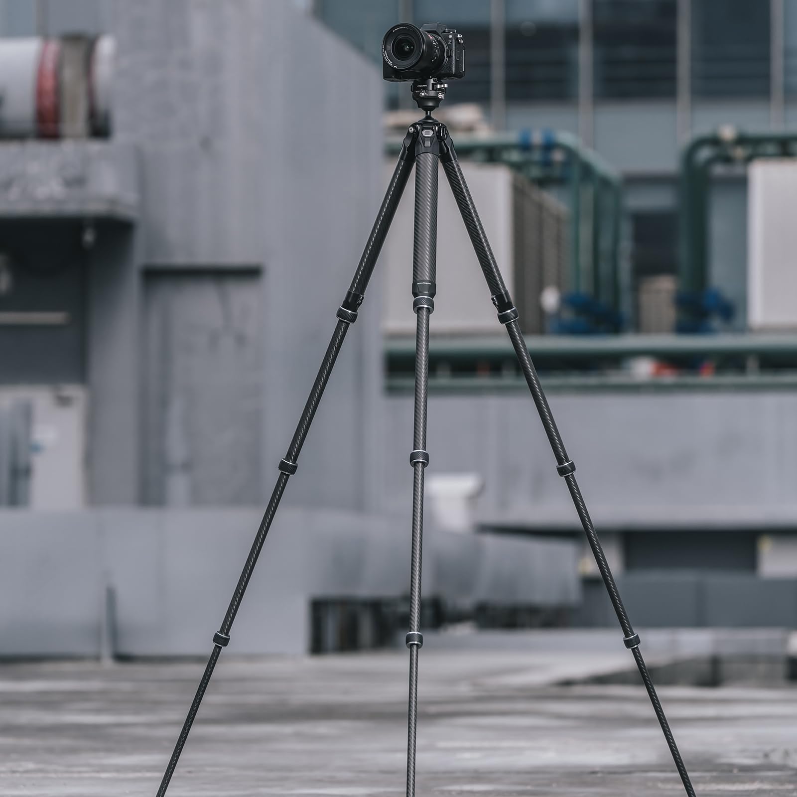 Kongeeker Falcam Treeroot F38 Pro Carbon Fiber Tripod, 61" Quick Lock Travel Tripod, 5Kg Load, F22 Interfaces, 1/4" Screw, Carry Strap Holes For Dslr, Mirrorless, And Video Cameras (R140T)