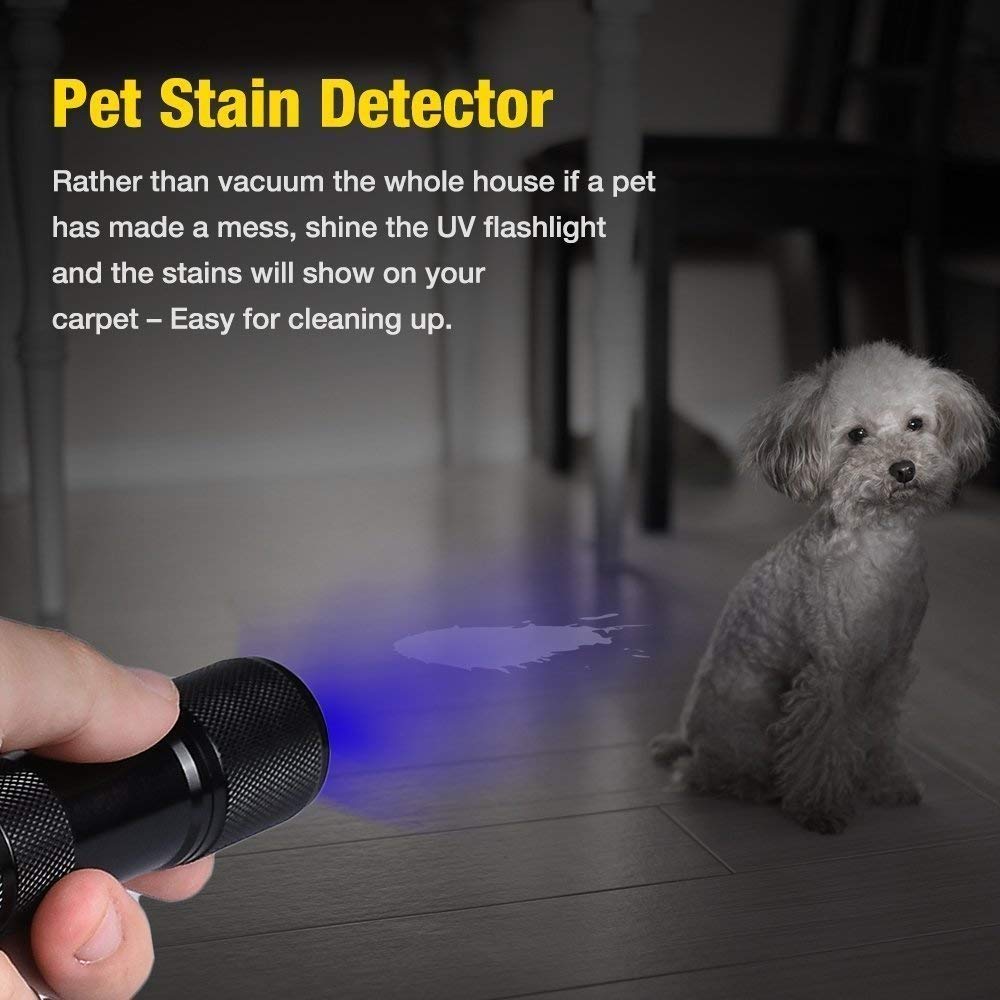 Cfikte Uv Led Flashlight Black Light Uv Lights 9 Led Ultraviolet Blacklight Flashlights Pets Urine And Stains Detector On Clothes Carpet Rugs (12 Pack)