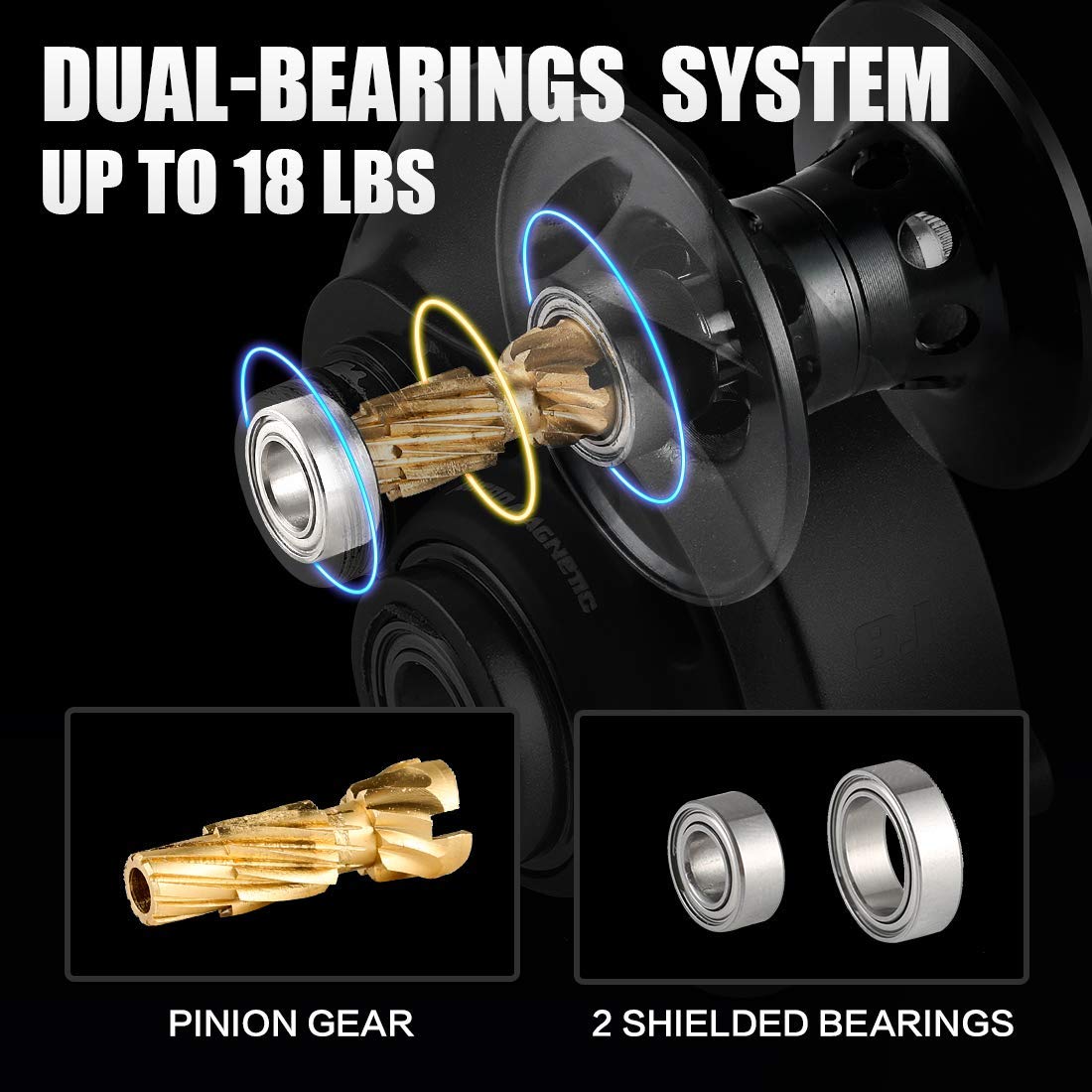 Seaknight Falcan2 Baitcasting Fishing Reel, 17.6Lb Max Drag & Magnet Braking System Baitcasters, 7.2:1/8.1:1 Gear Ratio Low Profile Caster Reel