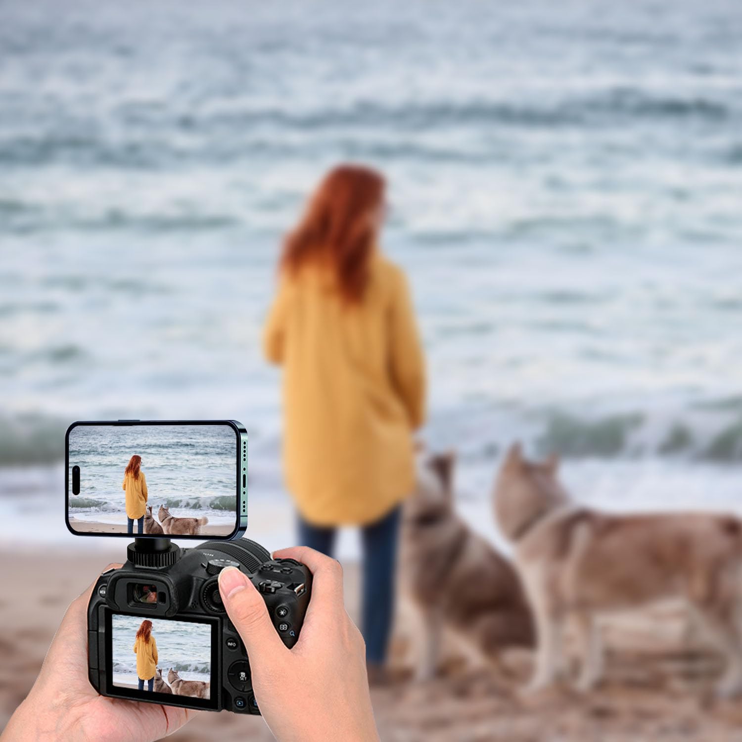 Jkoailiwi Universal Magnetic Tripod Mount Adapter With Cold Shoe & 1/4" Screw, Phone Tripod Mount For Camera/Ring Light/Selfie Stick, Compatible With Magsafe Iphone 16/15/14/13/12 Series
