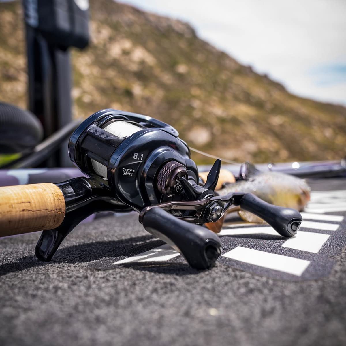 Daiwa Cc80 Baitcasting Reel High Speed