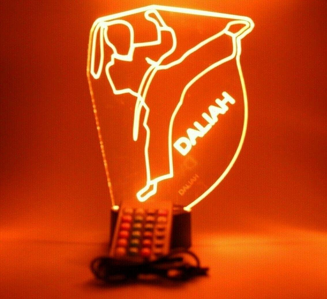 Mirror Mania Karate Night Light Up Lamp Led Engraved Girl Karate Martial Arts Desk Lamp Custom Name Personalized Female Karate Do Table Lamp, With Remote, 16 Color Options, It'S Wow, Sports