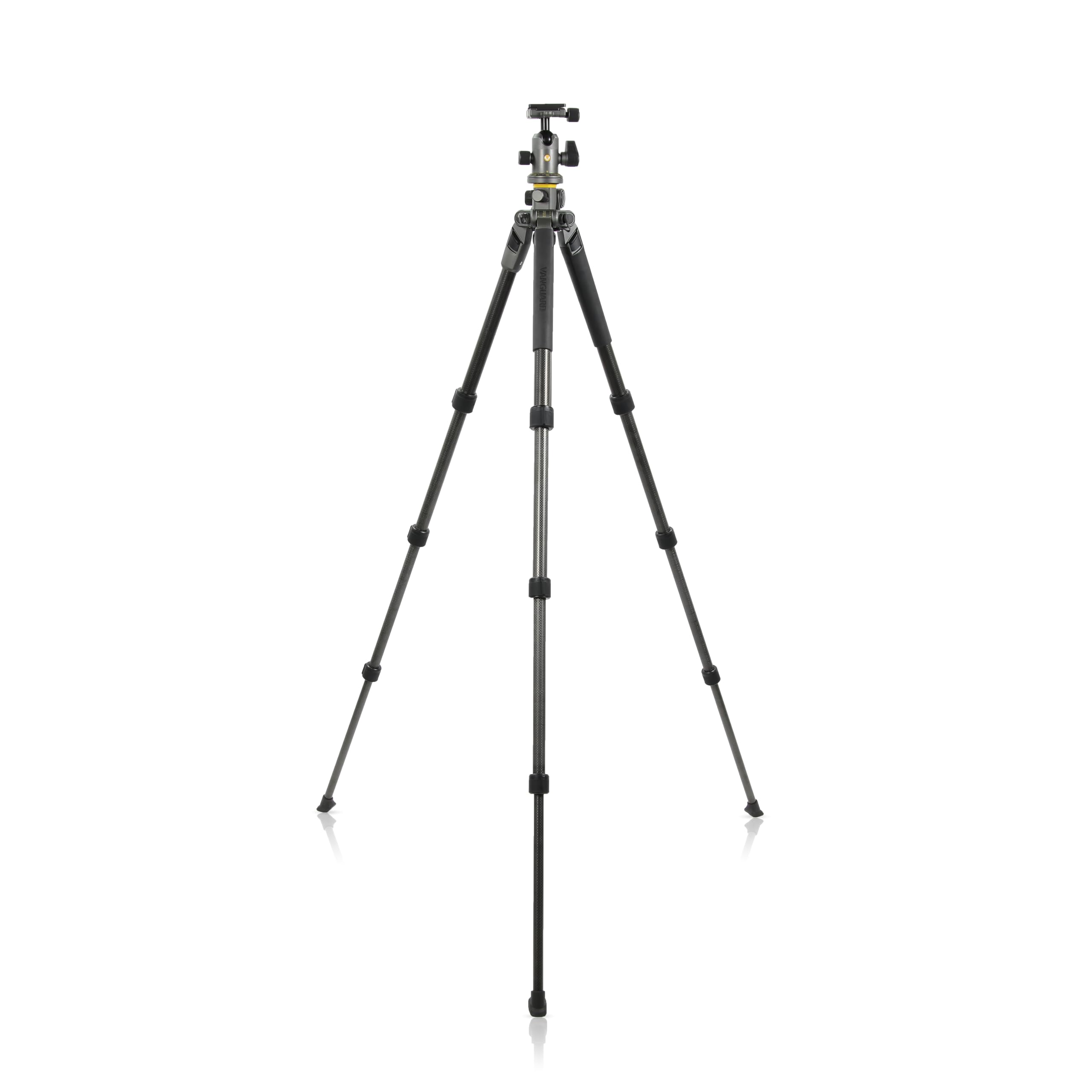 Vanguard Alta Pro 2+ 264Ab 4-Section Aluminum Tripod With Bh-100 Ball Head, Gray