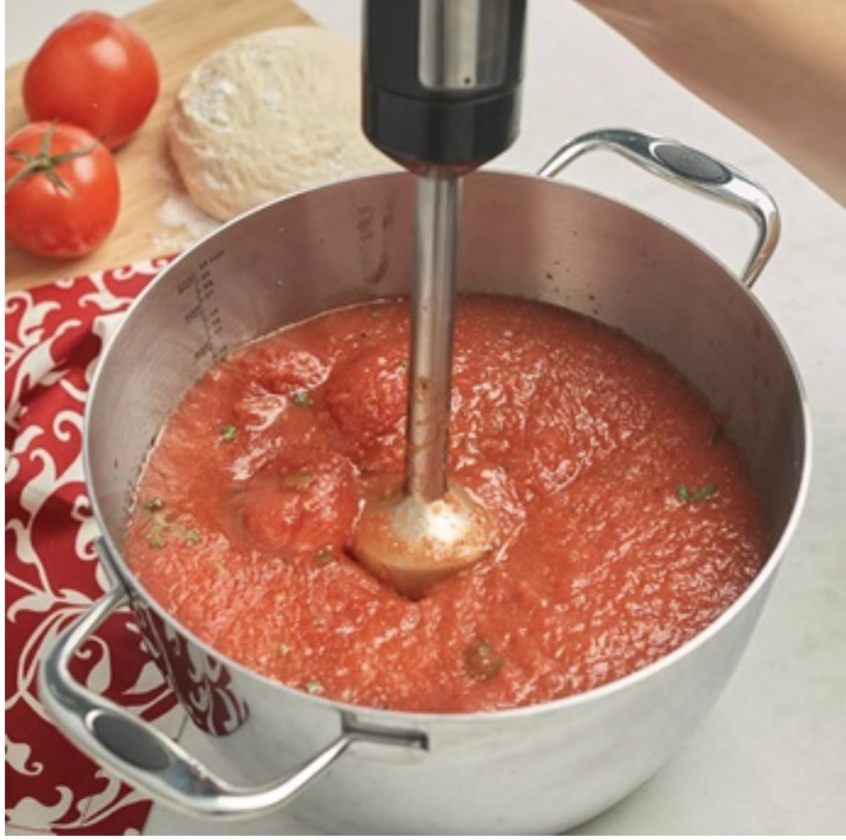 Vida Sana 4-In-1 Immersion Blender, Manual Patidora
