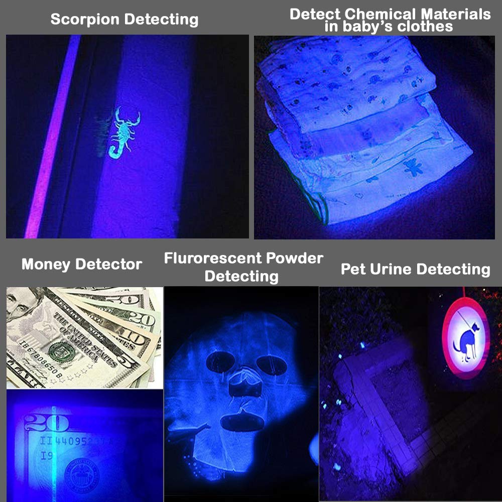 Wayllshine Multicolored Flashlight Pack: Red, Blue, Green, 395 Uv, White Led