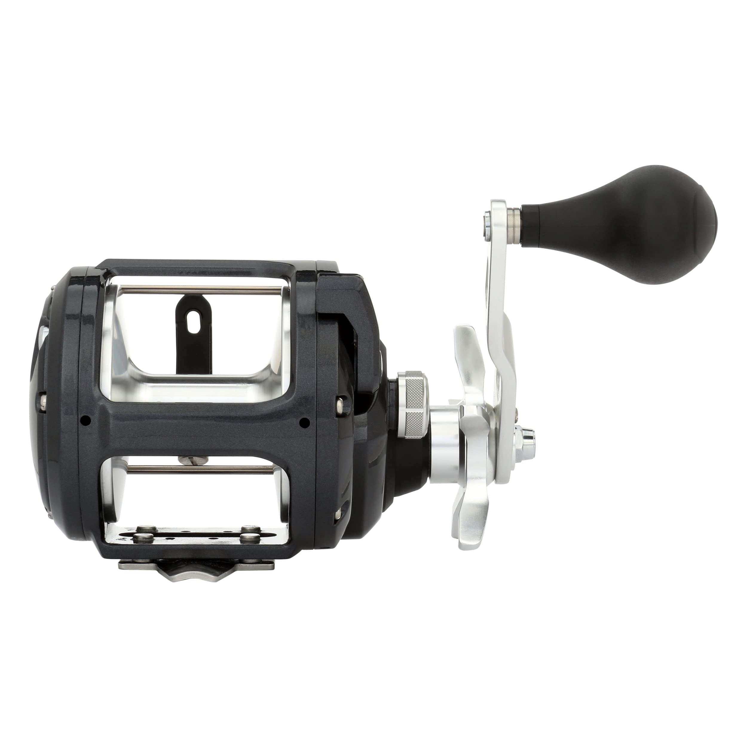 Shimano Tekota A Conventional Reels (Tek800Pga) Fishing