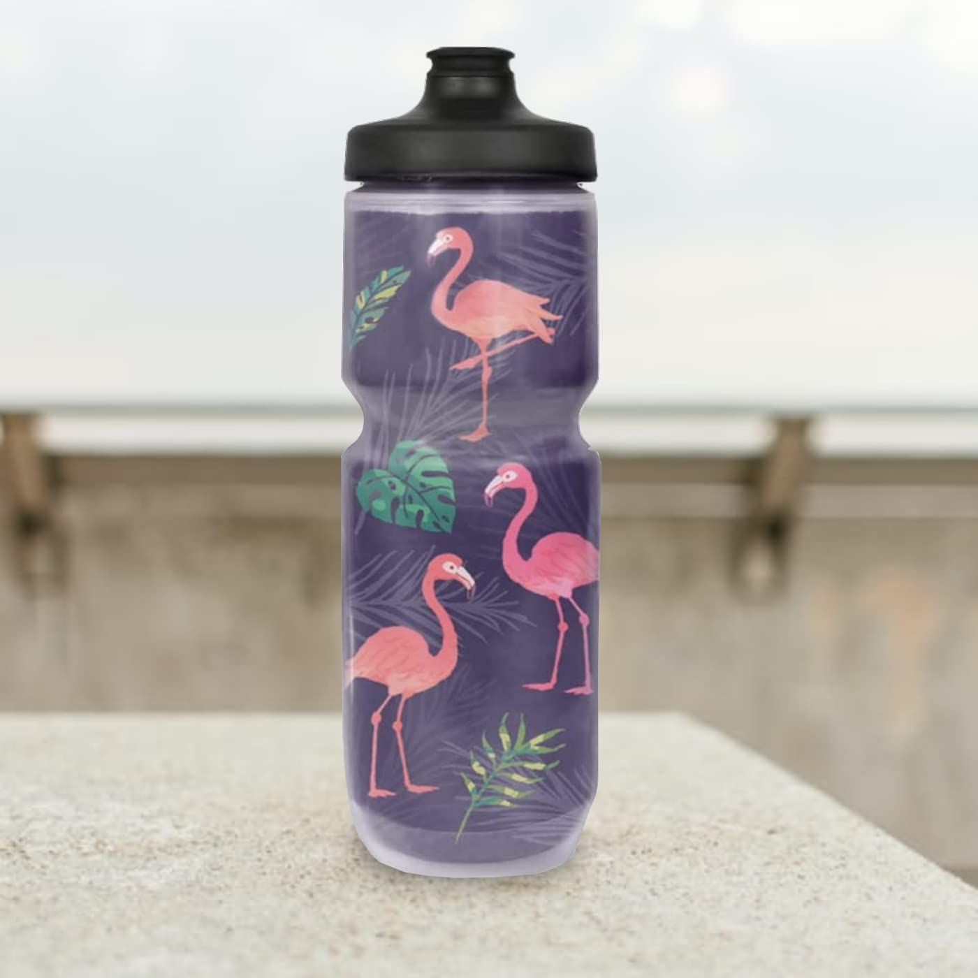 Purist 23 Oz Insulated- Sports Water Bottle - Limited Edition, Watergate Cap