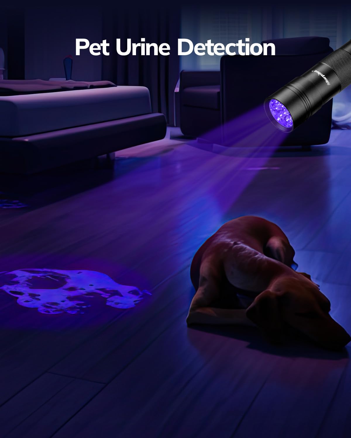 Morpilot Blacklight Flashlights Uv Flashlight,12 Led 395Nm Ultraviolet Blacklight 2 Pcs Black Light Flashlight Mini, Torch Light Pet Urine Detector Light For Dog/Cat, Dry Stains,Resin Curing,Bed Bug